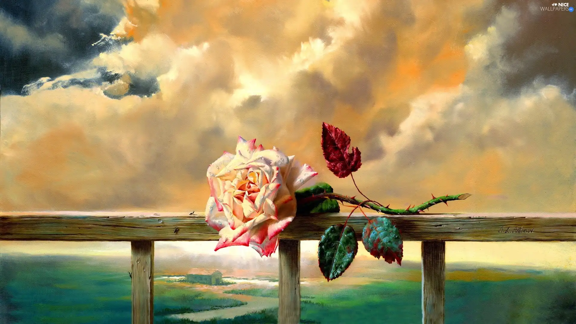 rose, clouds