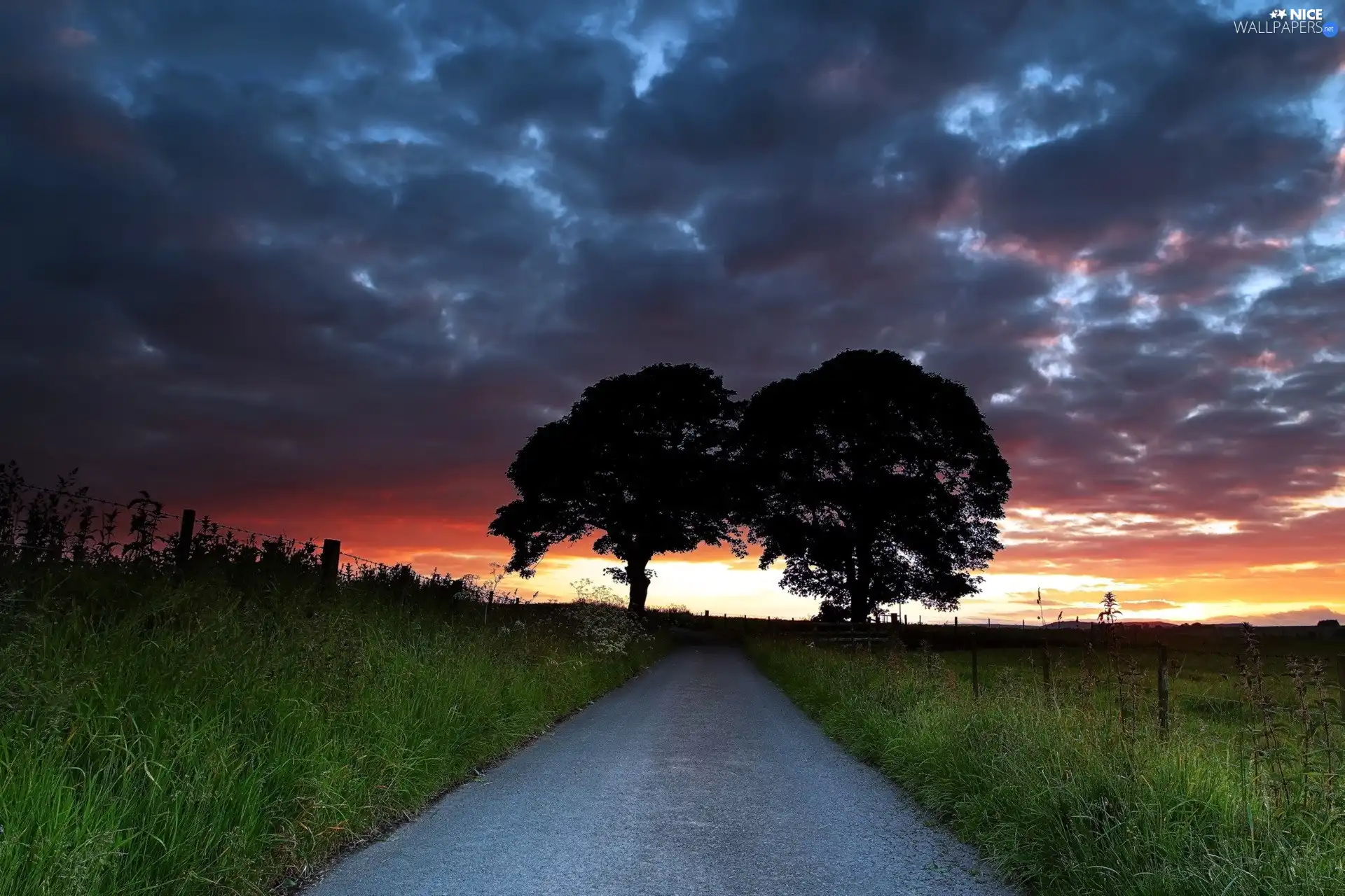 Clouds, Sky, viewes, Way, trees