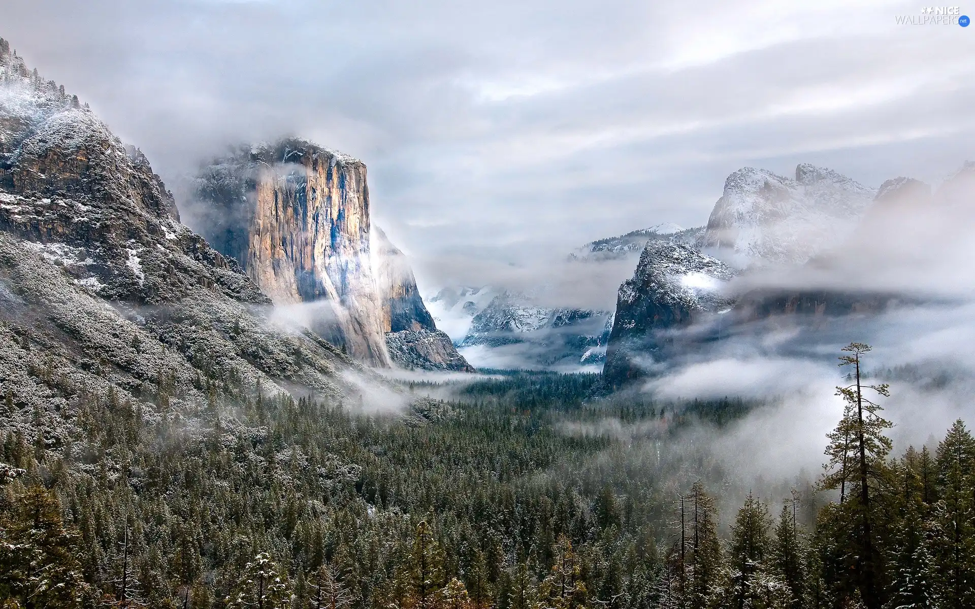 Snowy, woods, clouds, Mountains