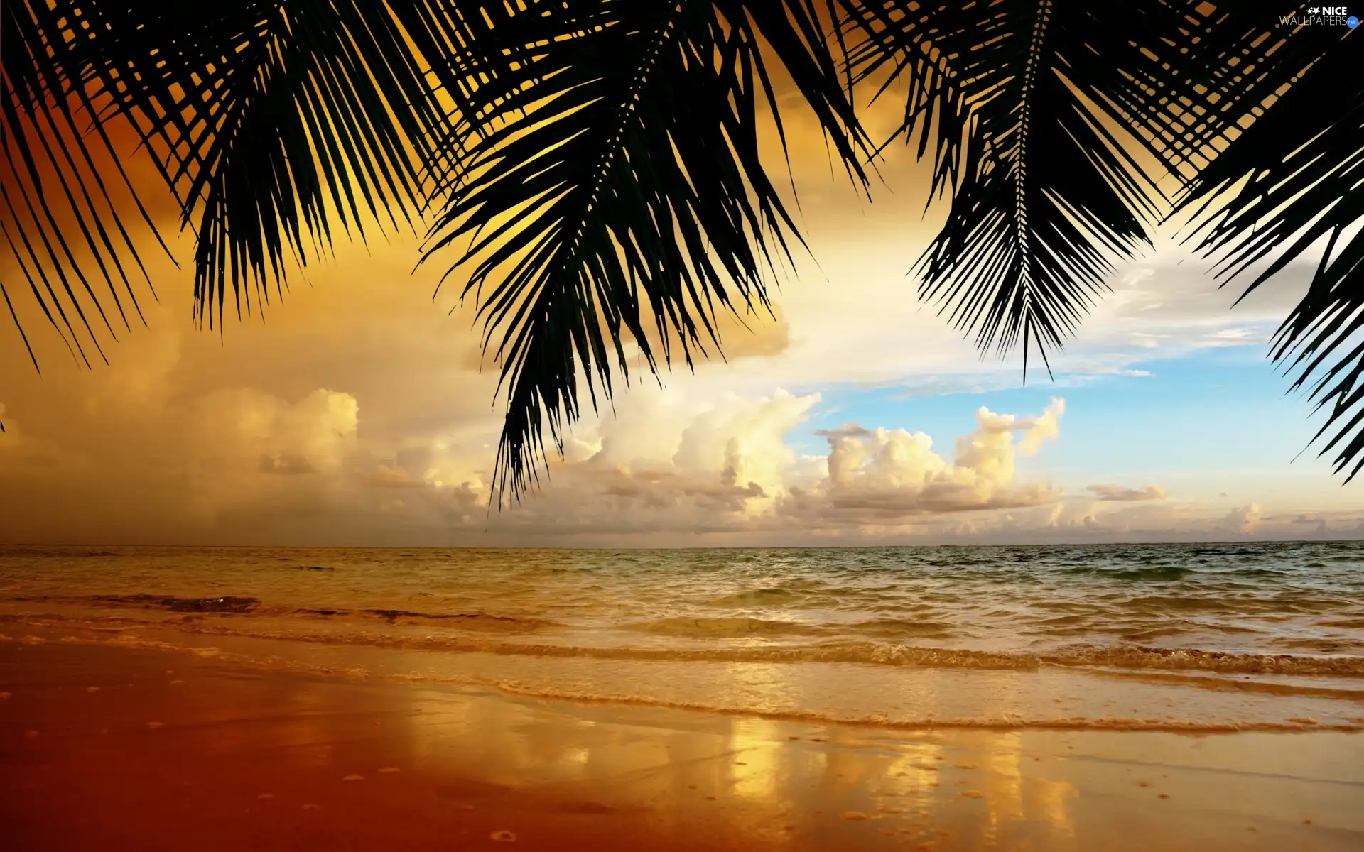 Great Sunsets, Palms, clouds, sea