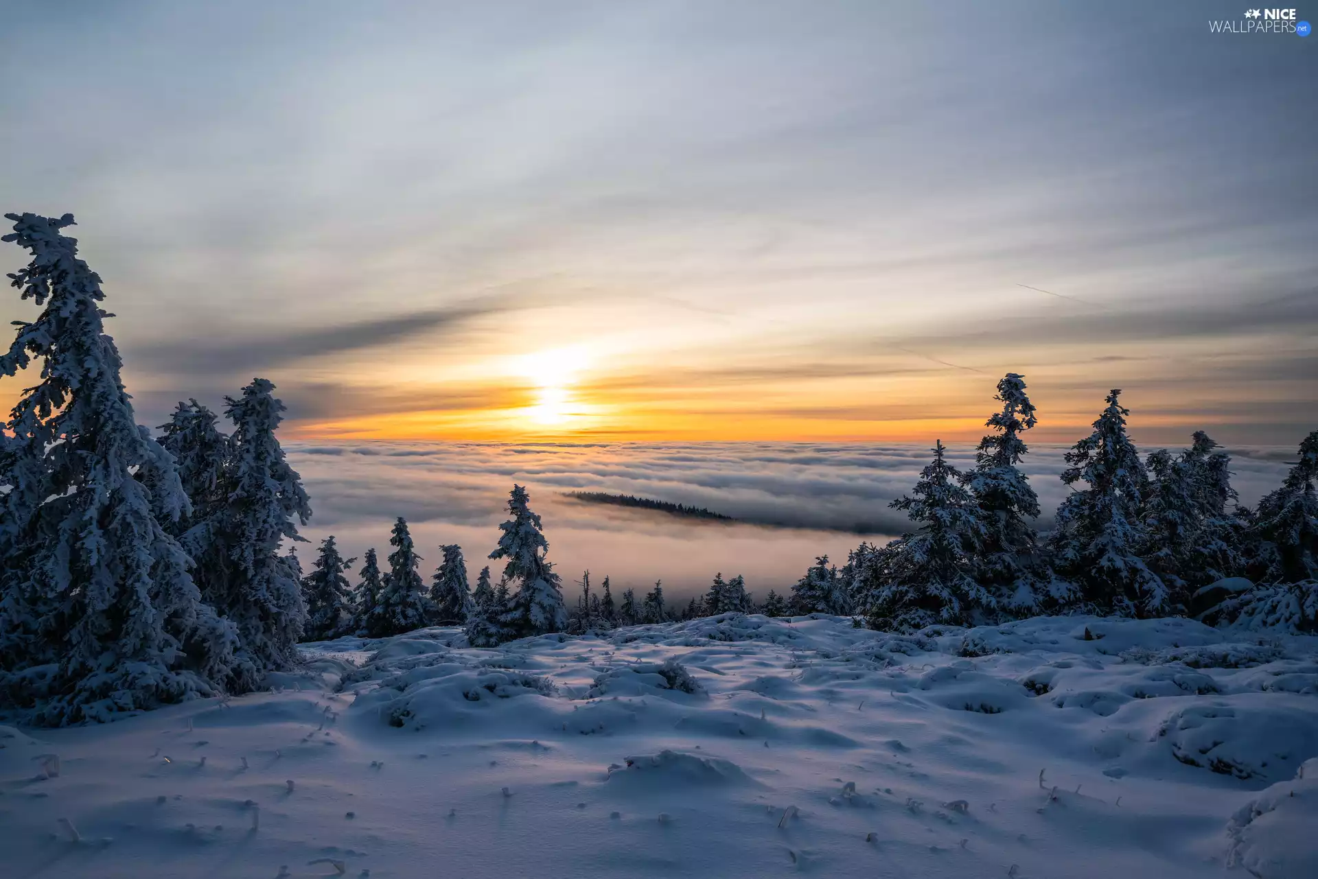 clouds, Snowy, snow, trees, Field, Great Sunsets, winter, viewes