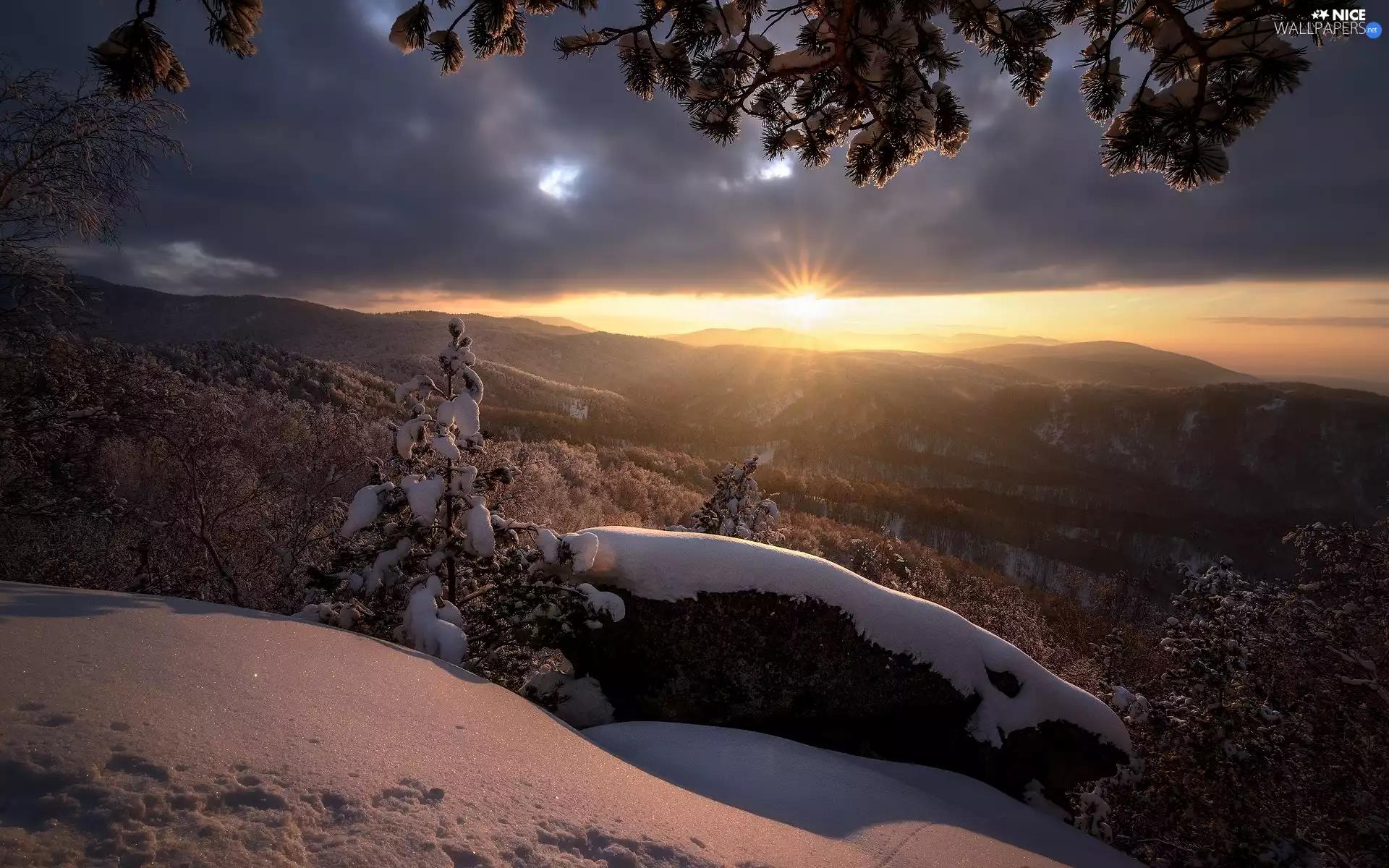 clouds, Mountains, Snowy, Altai, trees, winter, Sunrise, Russia, taiga, viewes