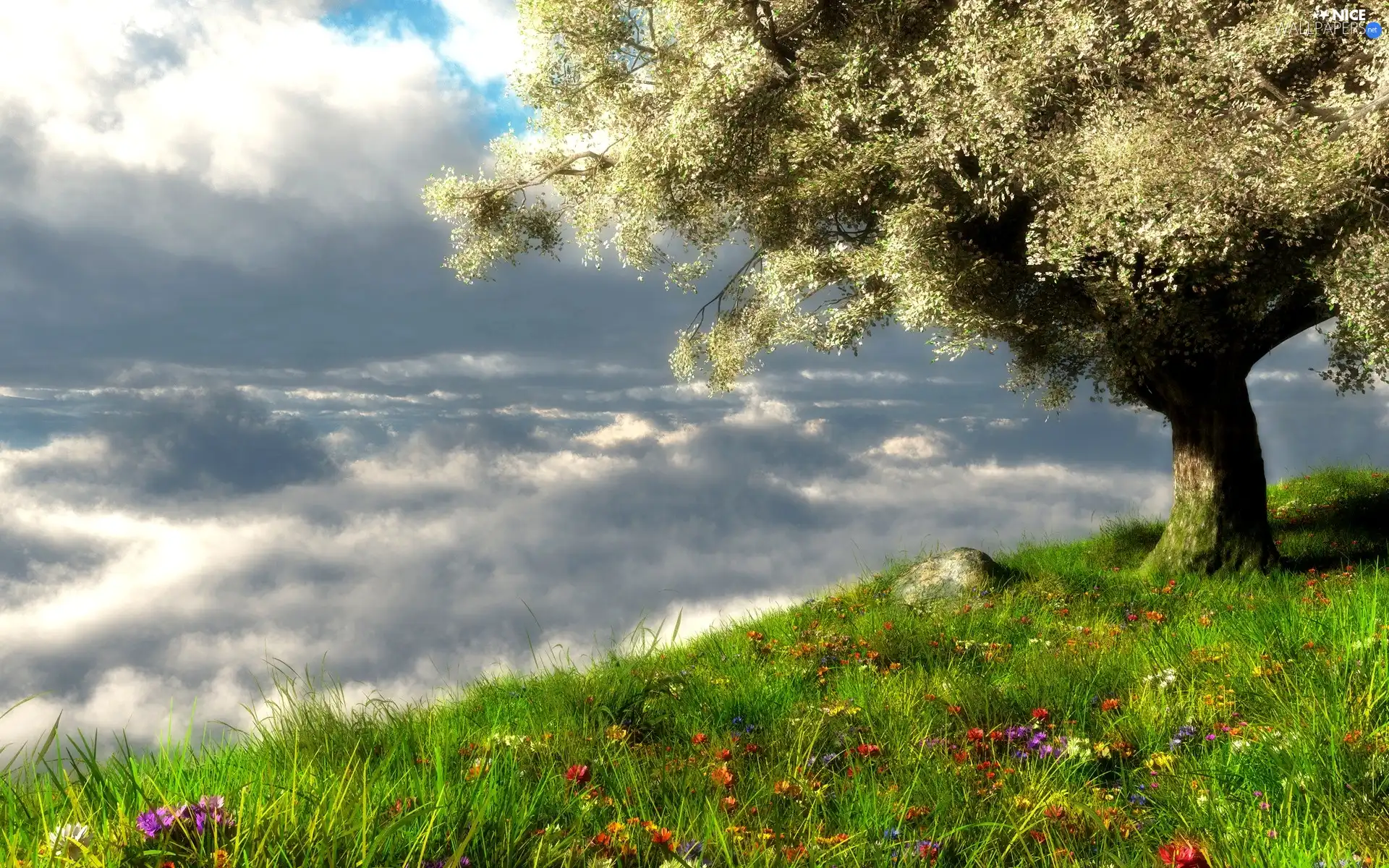 trees, grass, clouds, Flowers