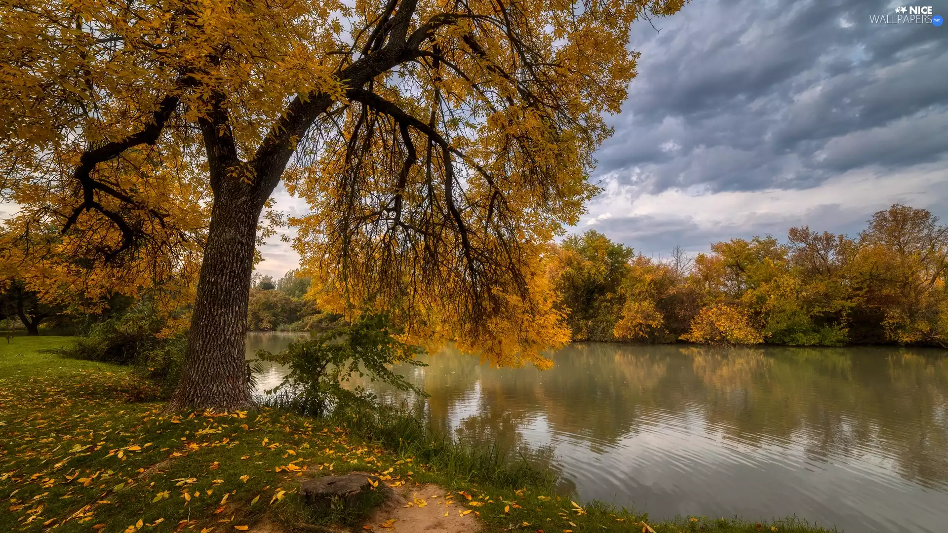 viewes, lake, Leaf, clouds, autumn, trees