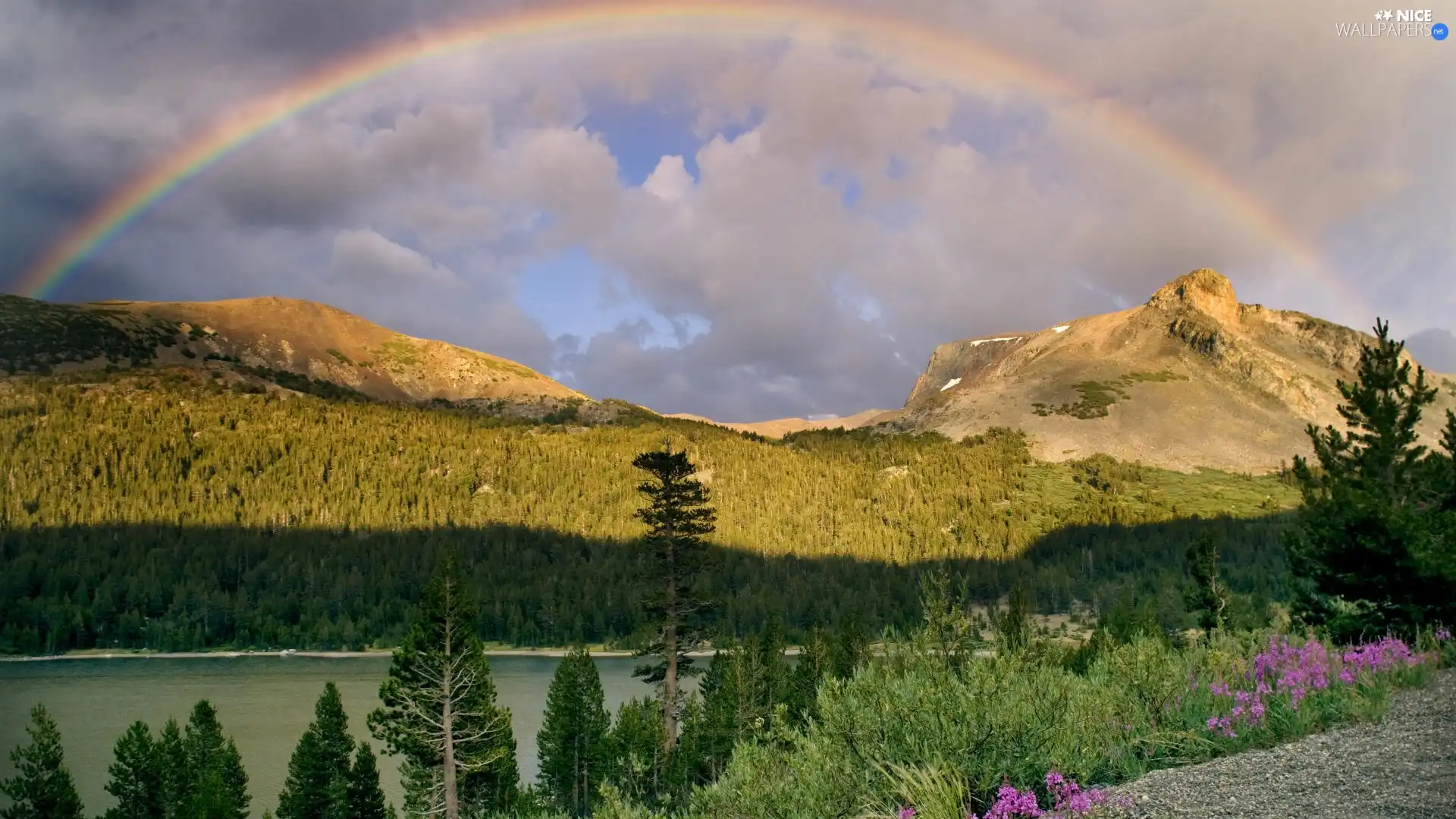 clouds, Mountains, trees, viewes, water, Great Rainbows