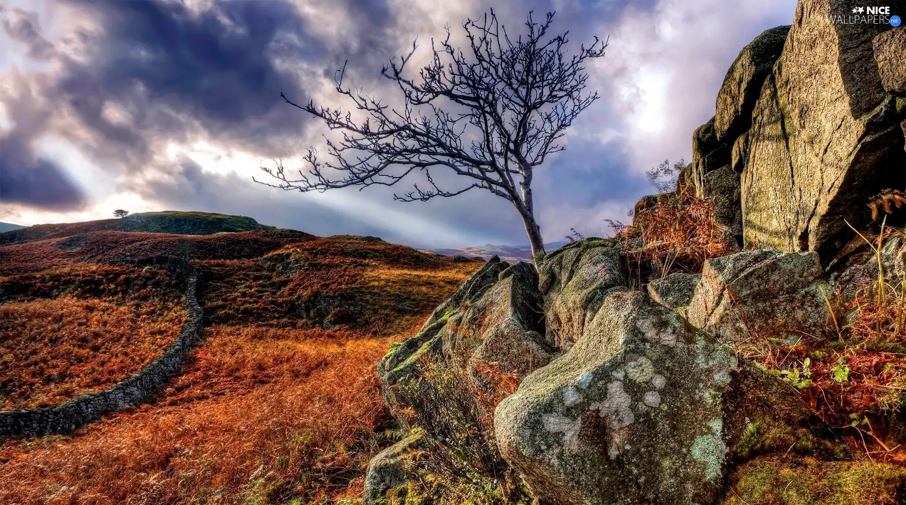 ledge, autumn, clouds, trees, rocks, Stones