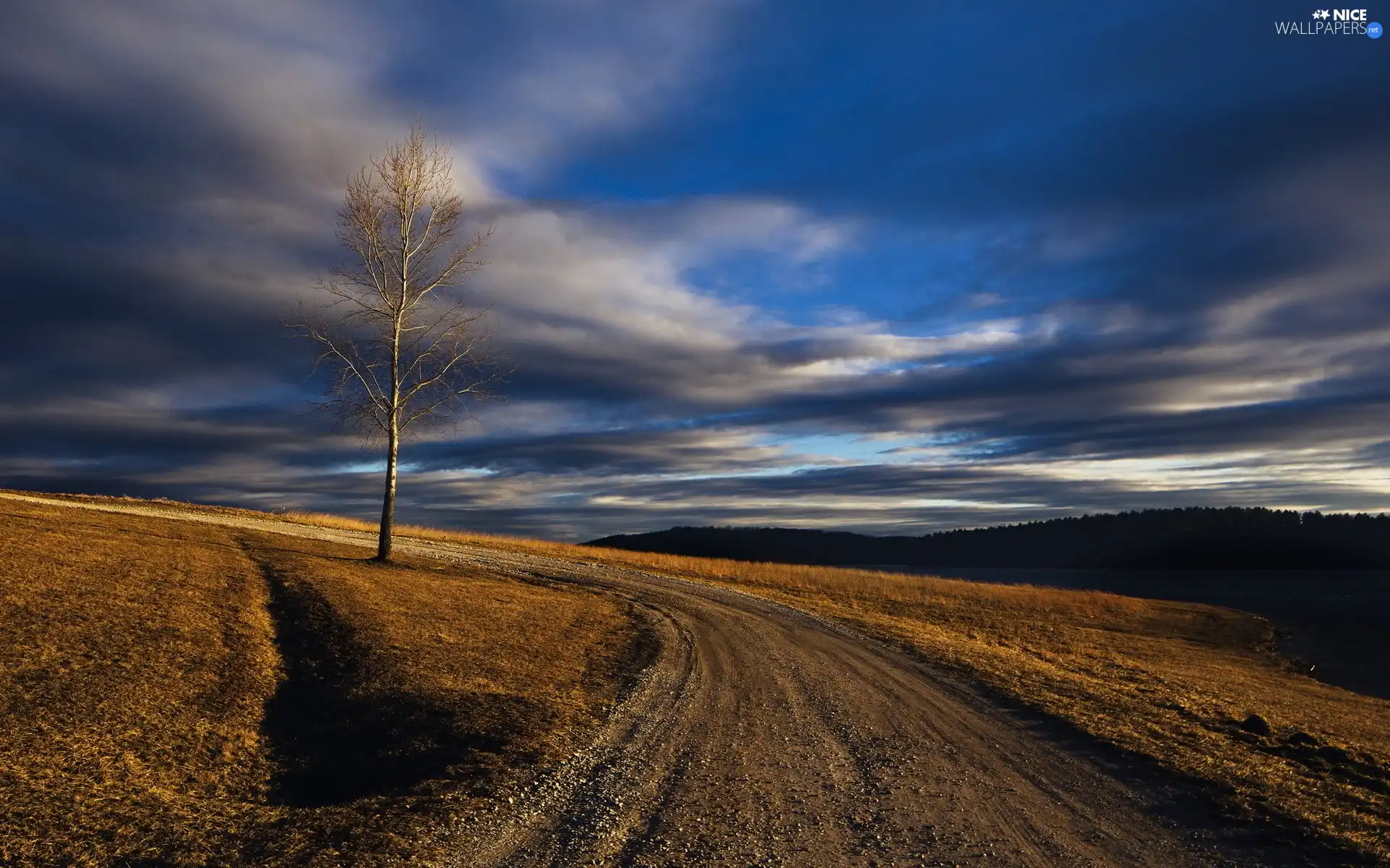 Way, trees, clouds, Meadow