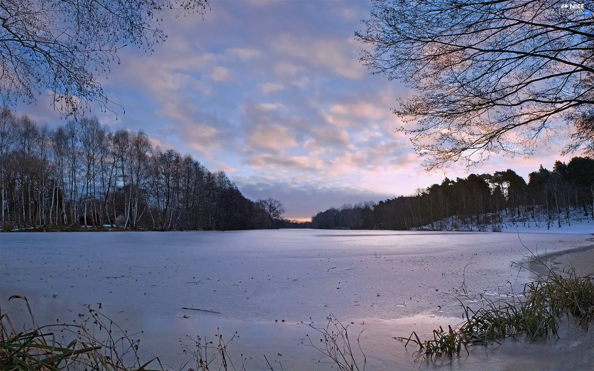 clouds, lake, woods