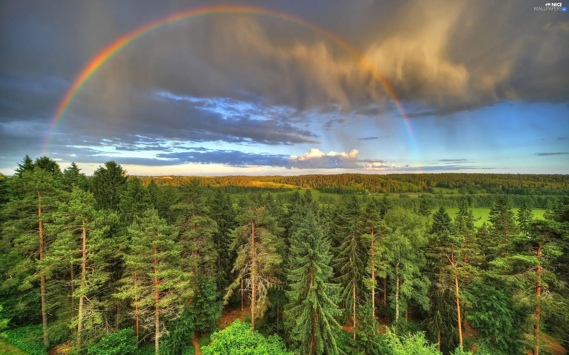 woods, Great Rainbows, clouds, medows