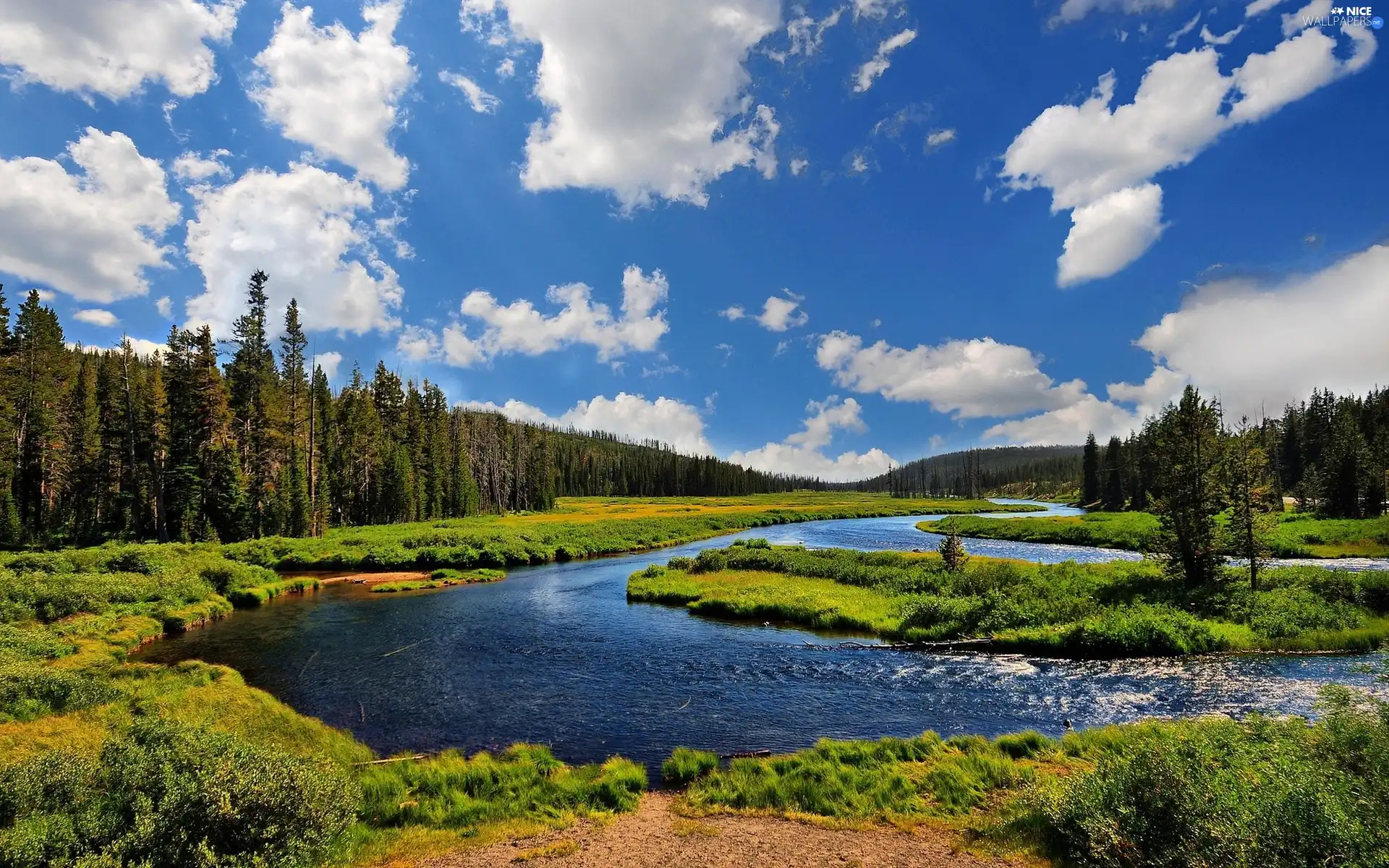 clouds, River, woods