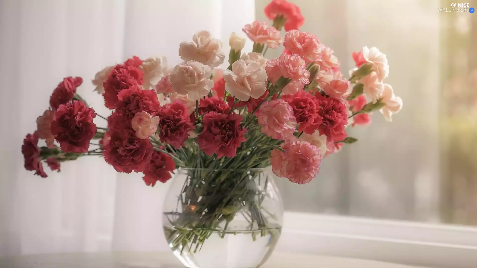 Cloves, Flowers, Vase