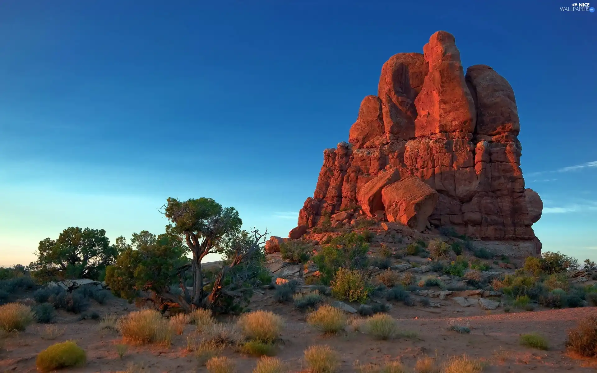 trees, rock, Clumps, grass, viewes, mountains