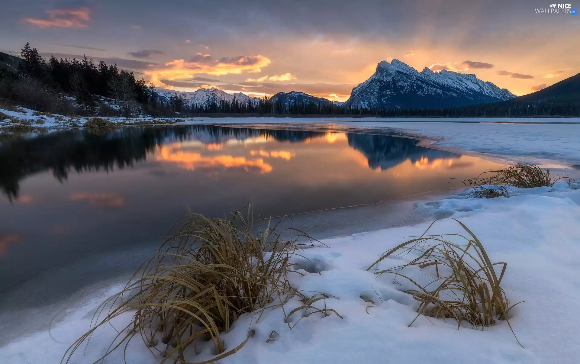 Sunrise, Mount Rundle, Province of Alberta, Clumps, Canada, Vermilion Lakes, Banff National Park, grass, Mountains, winter
