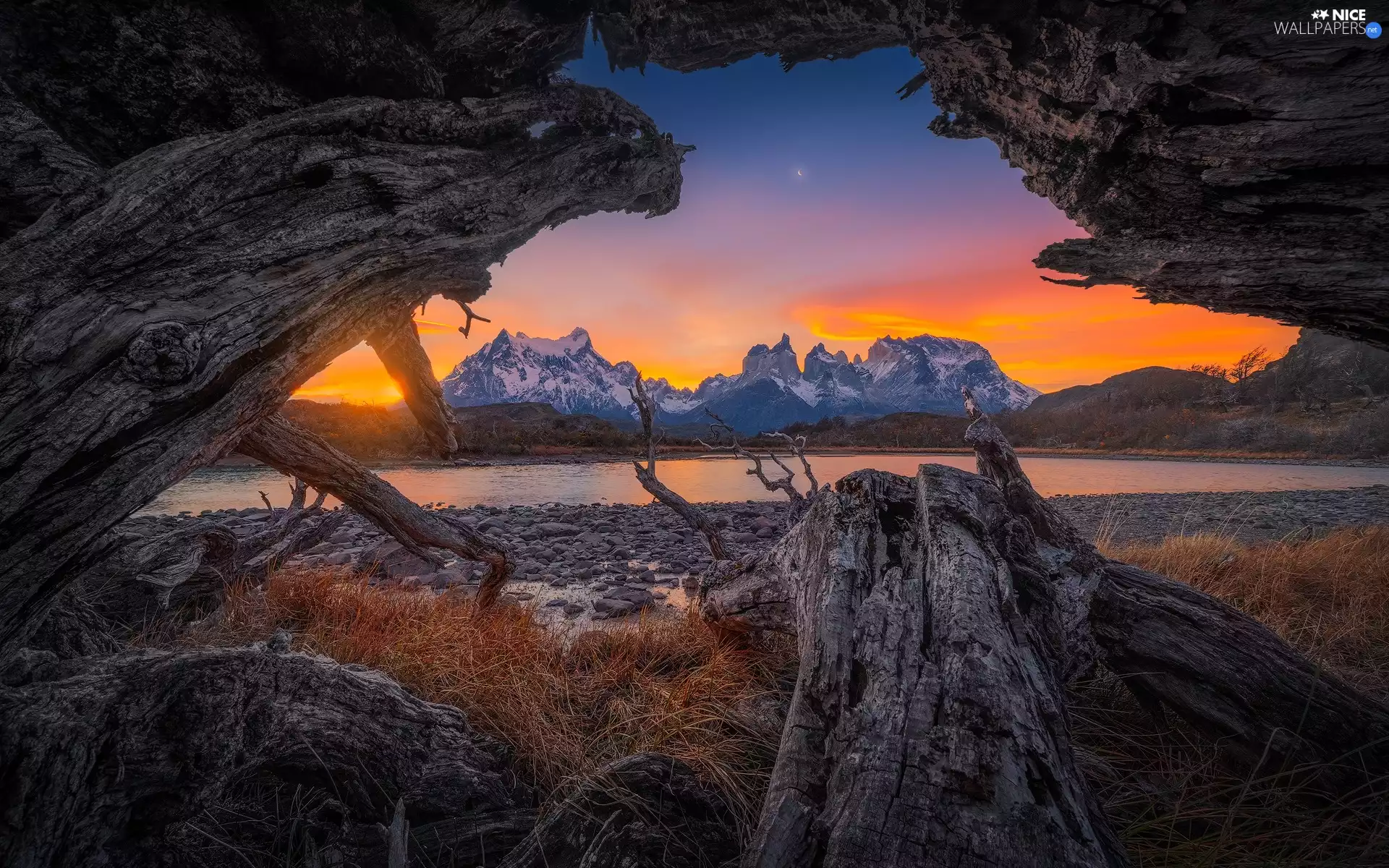 stony, Torres del Paine National Park, coast, River, Patagonia, Chile, rocks, Cordillera del Paine Mountains, trees