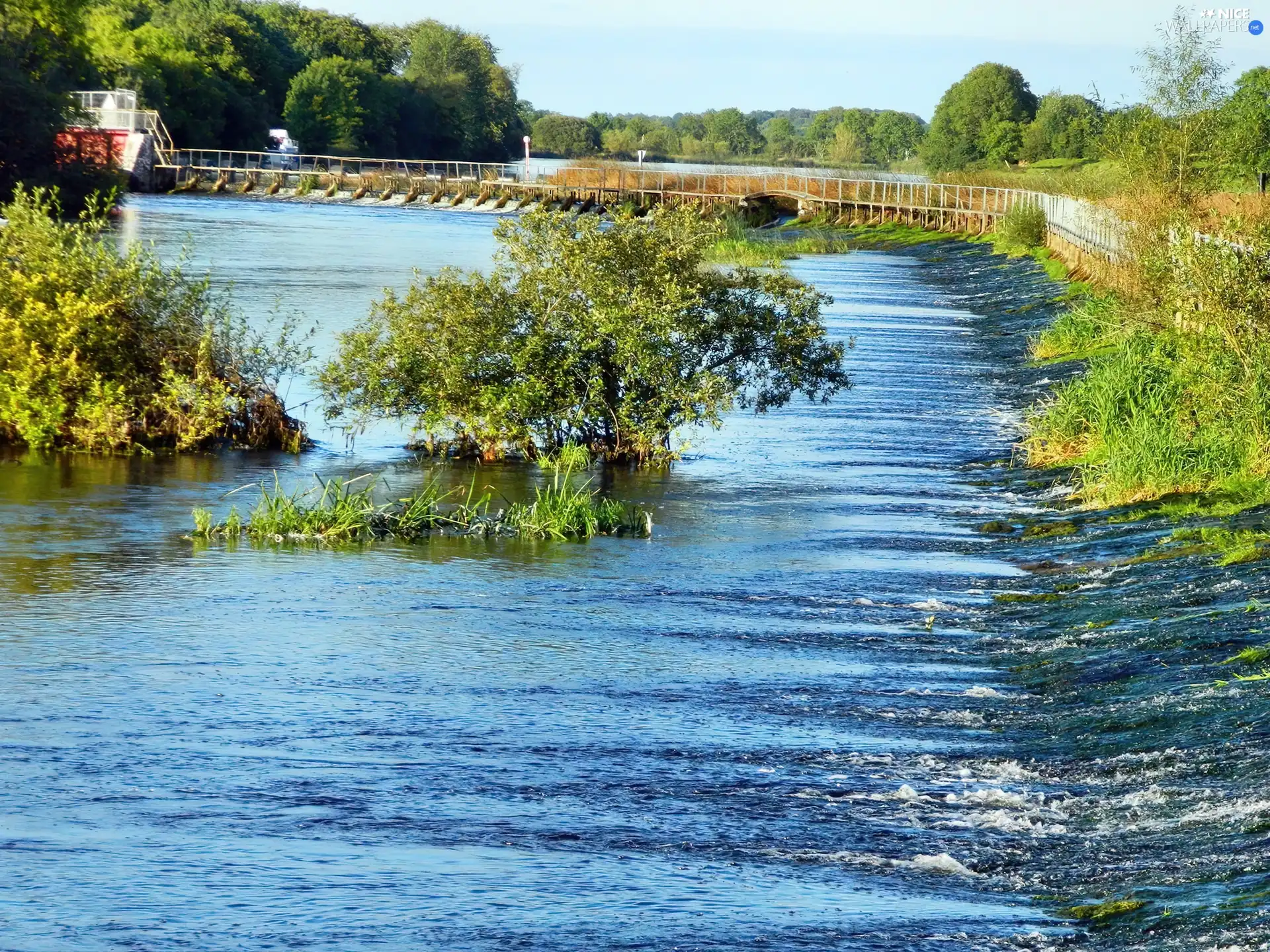 coast, footbridge, trees, viewes, River