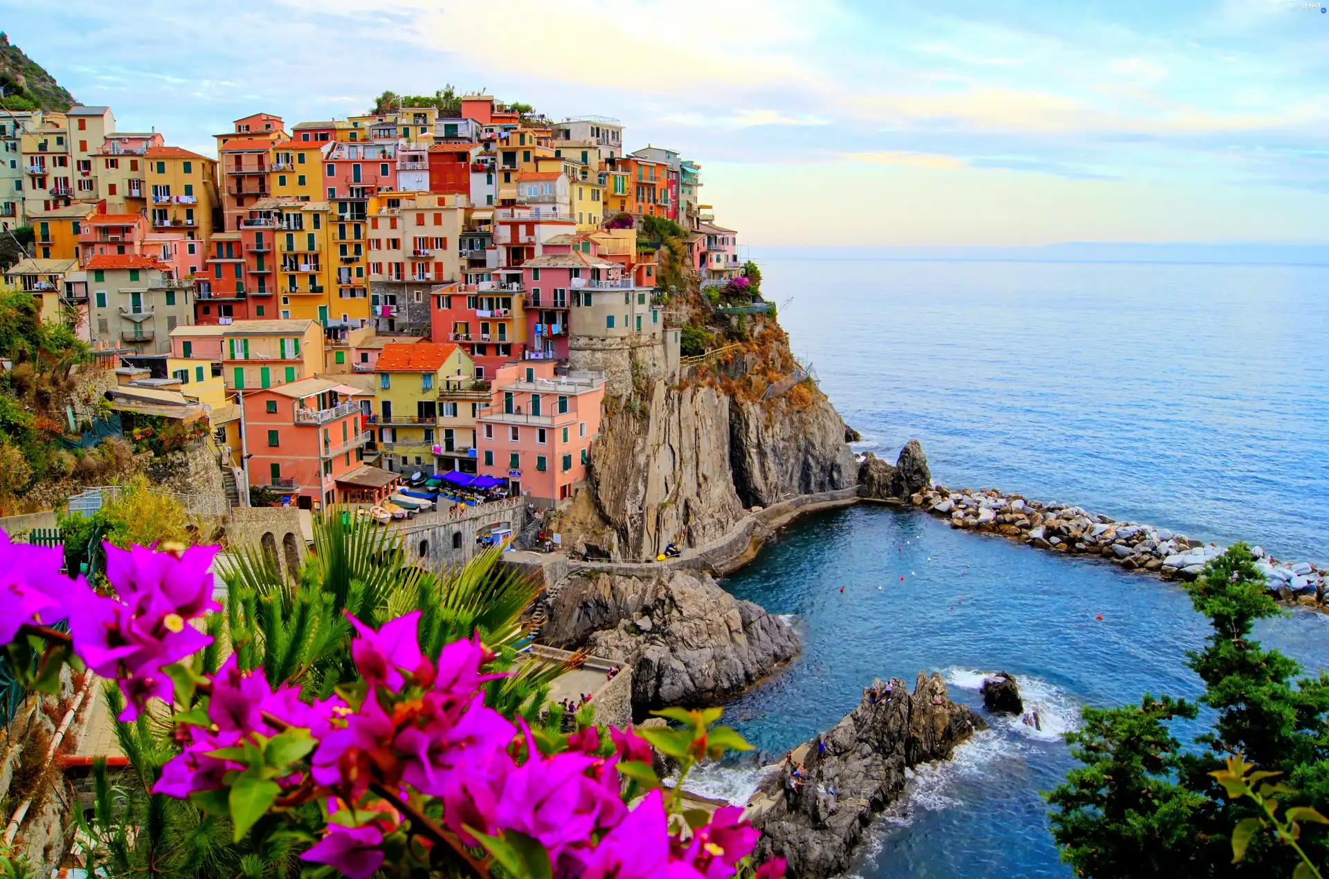 Manarola, Coast, Houses, Italy