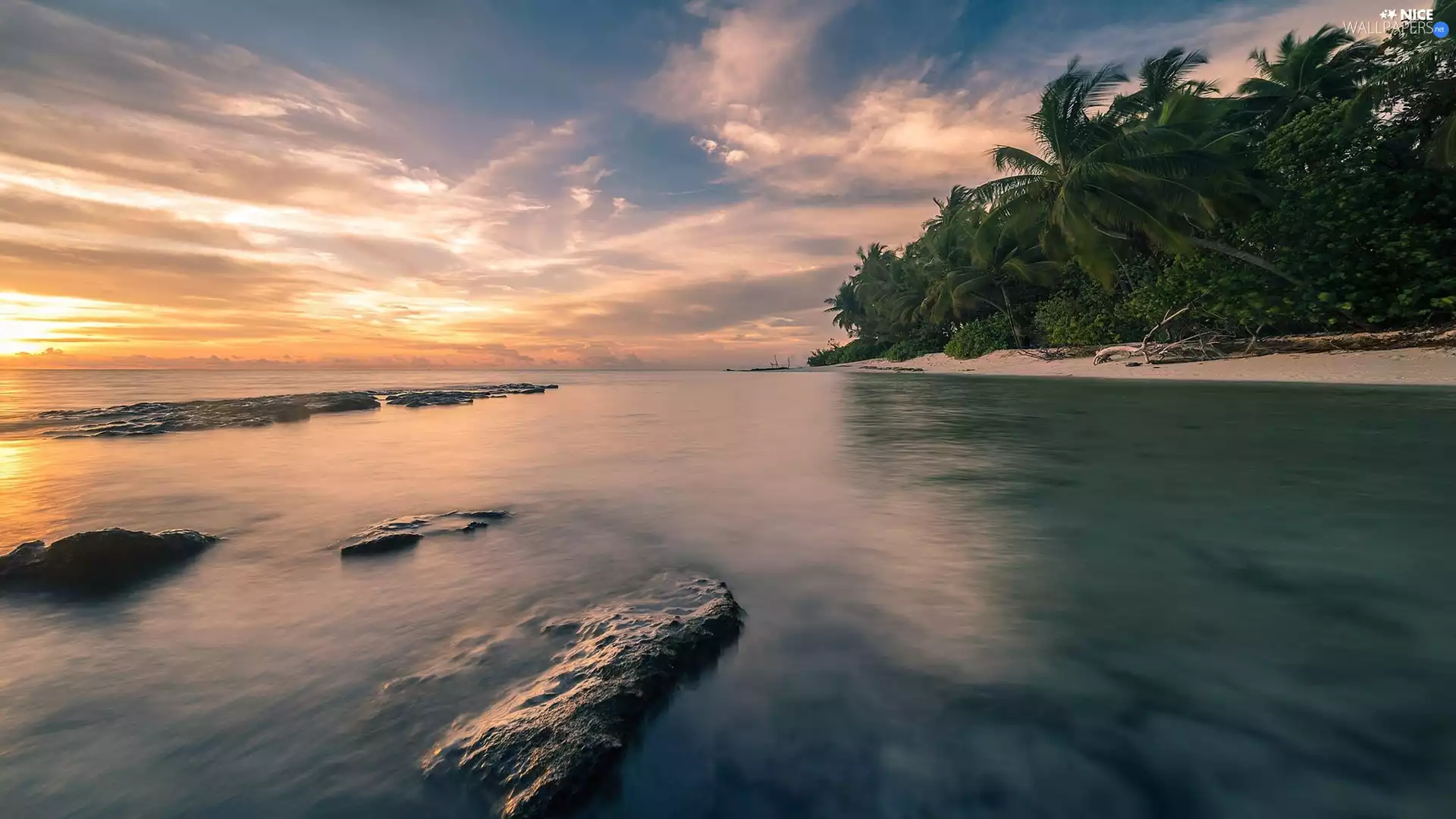 Great Sunsets, clouds, coast, Palms, sea