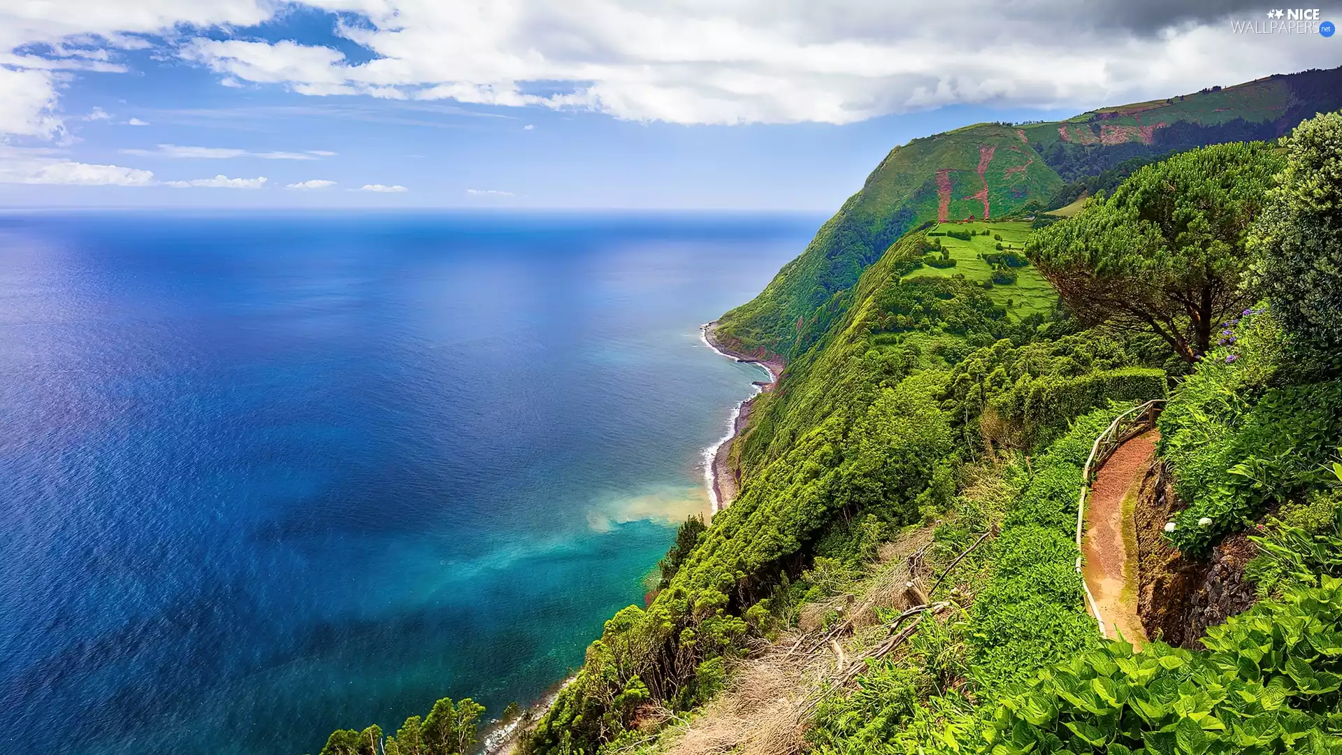 sea, Azores, Portugal, Coast