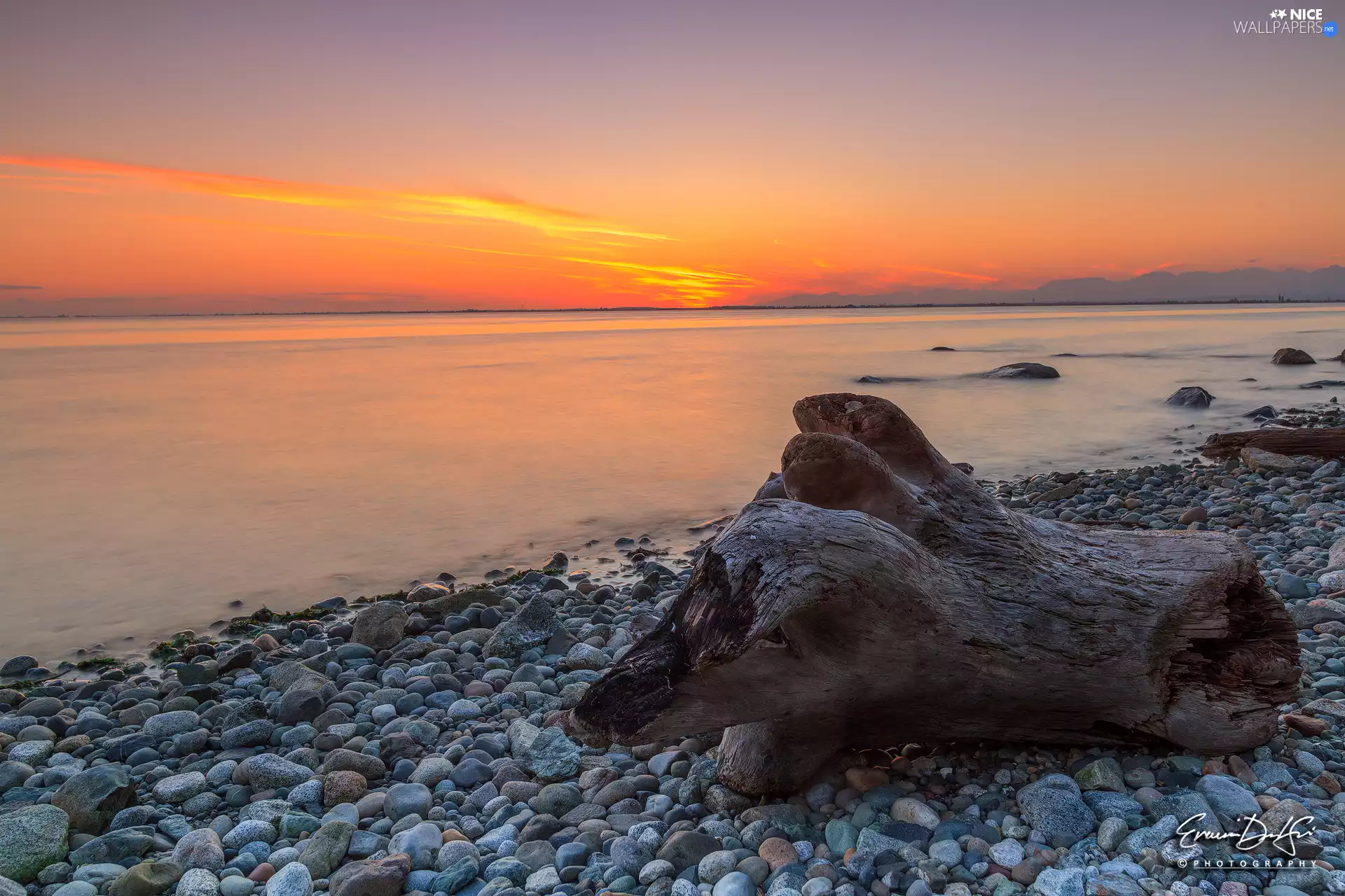 Stones, trunk, sea, coast, Great Sunsets