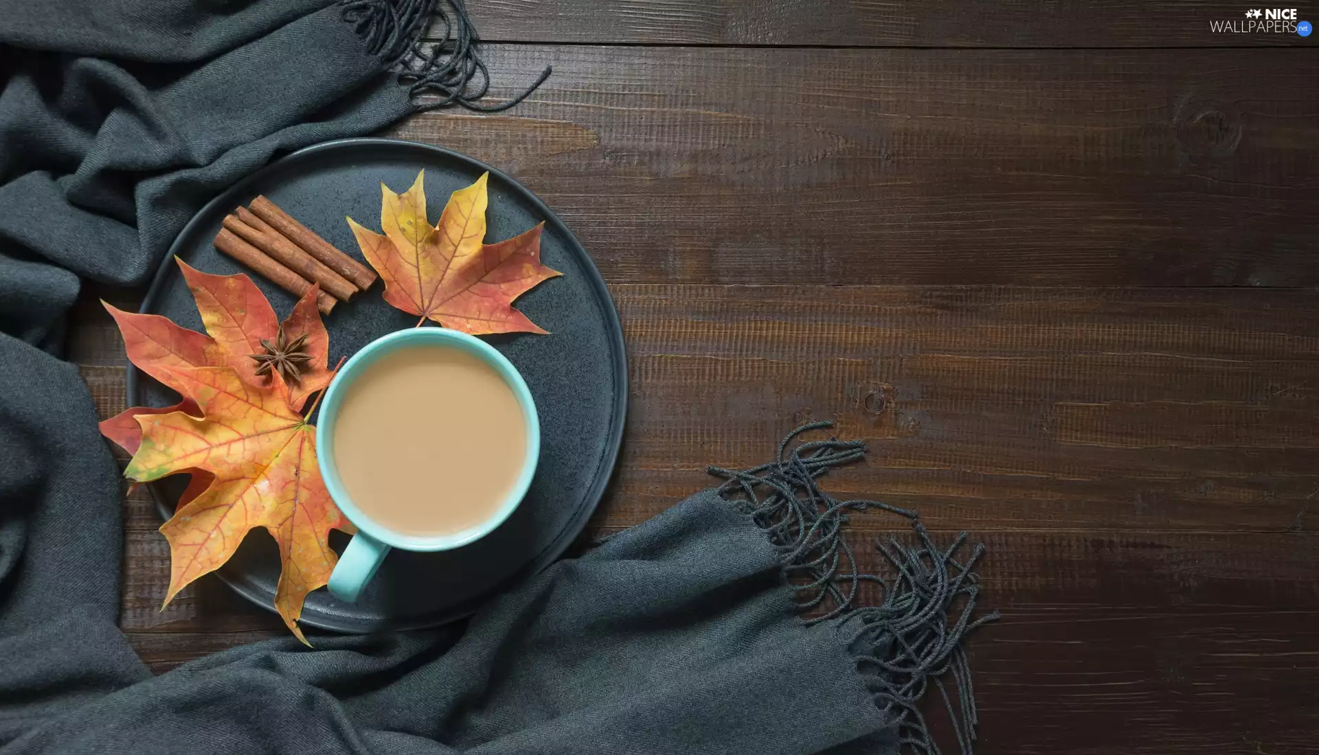 coffee, cup, Tray, Leaf, shawl, boarding, Aniseed, cinnamon, Leaf
