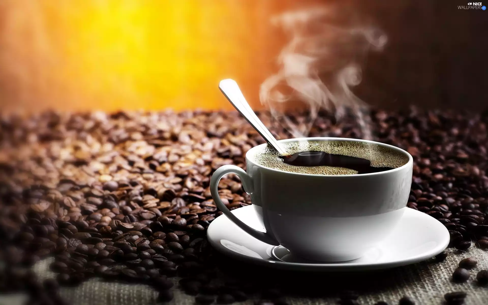 Steam, hot, cup, coffee, grains, White, plate