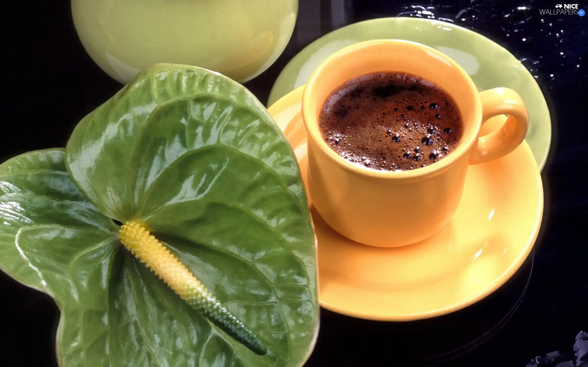 Anturium, cup, coffee, green ones