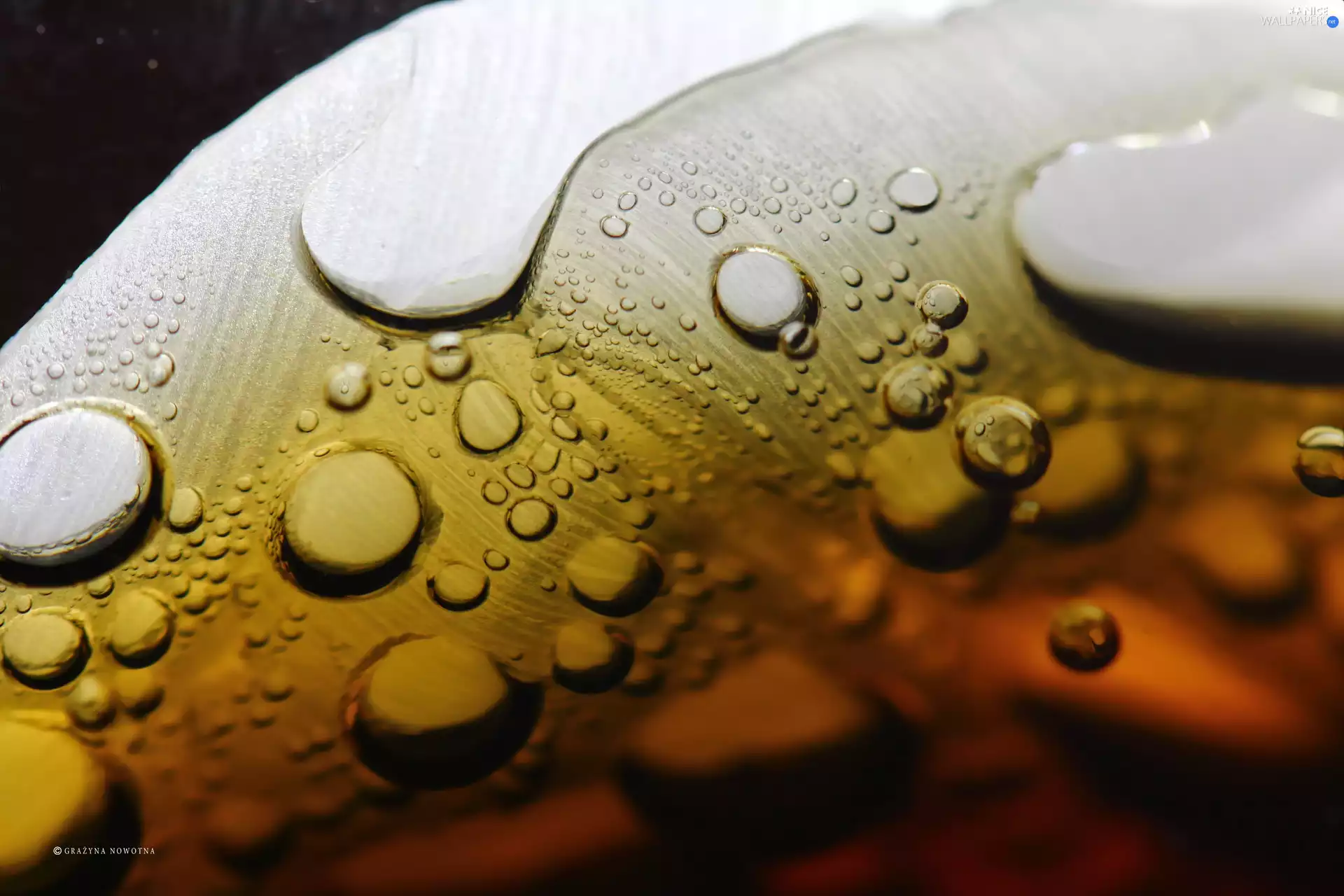 Coca Cola, petal, Close, bubbles