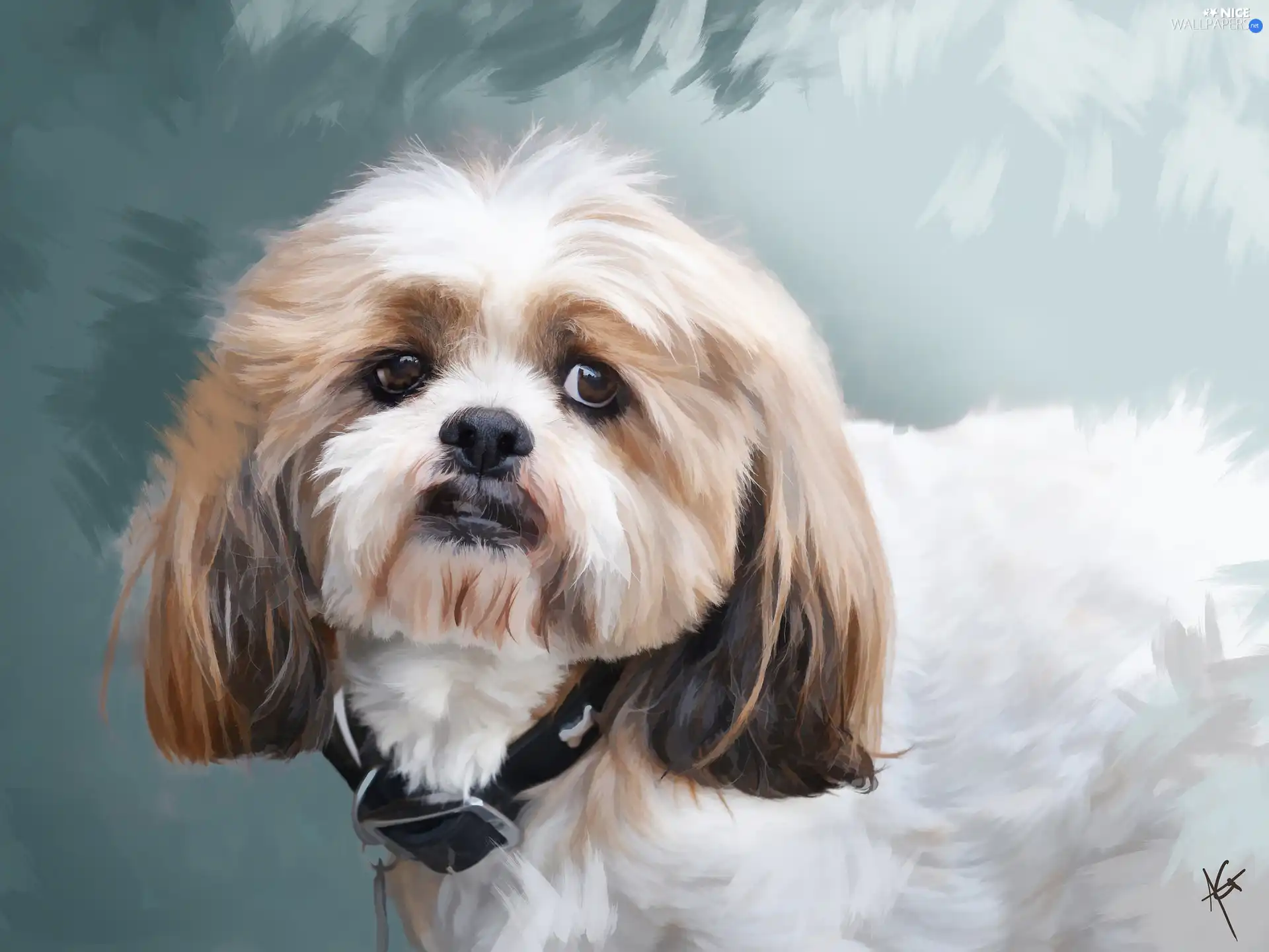 graphics, dog, dog-collar