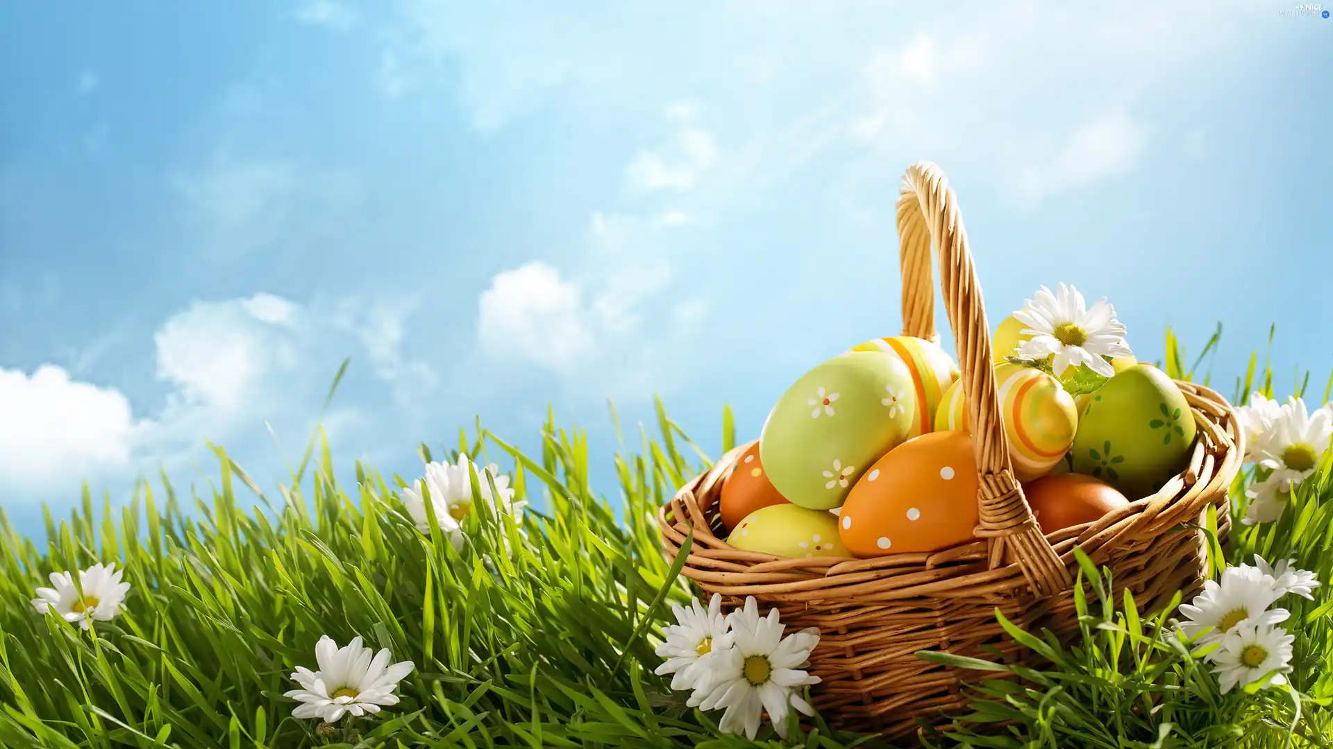eggs, basket, daisies, color, Easter, grass, Sky