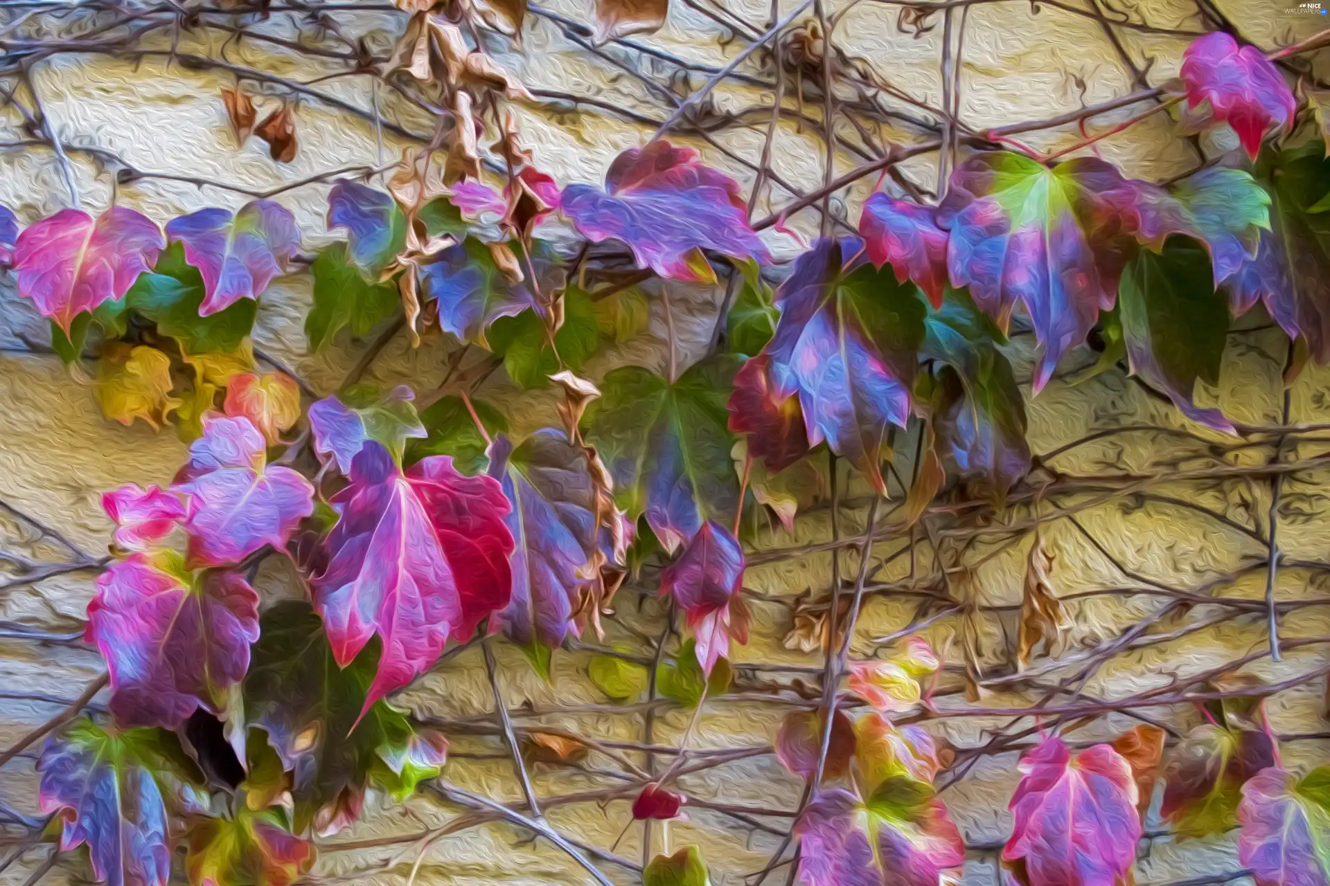 rambler, front, color, Leaf, plant, building