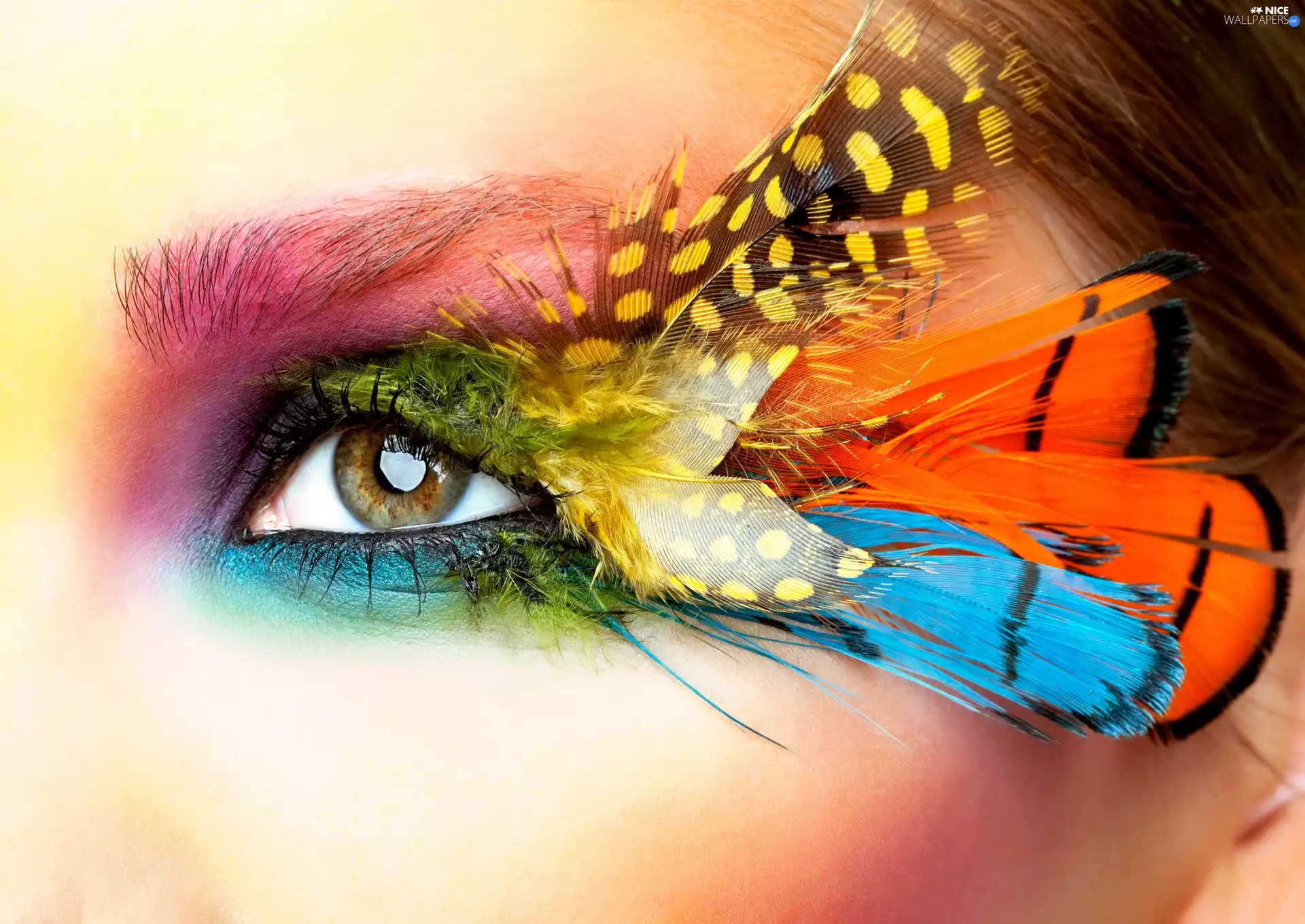 eye, color, make-up, feather
