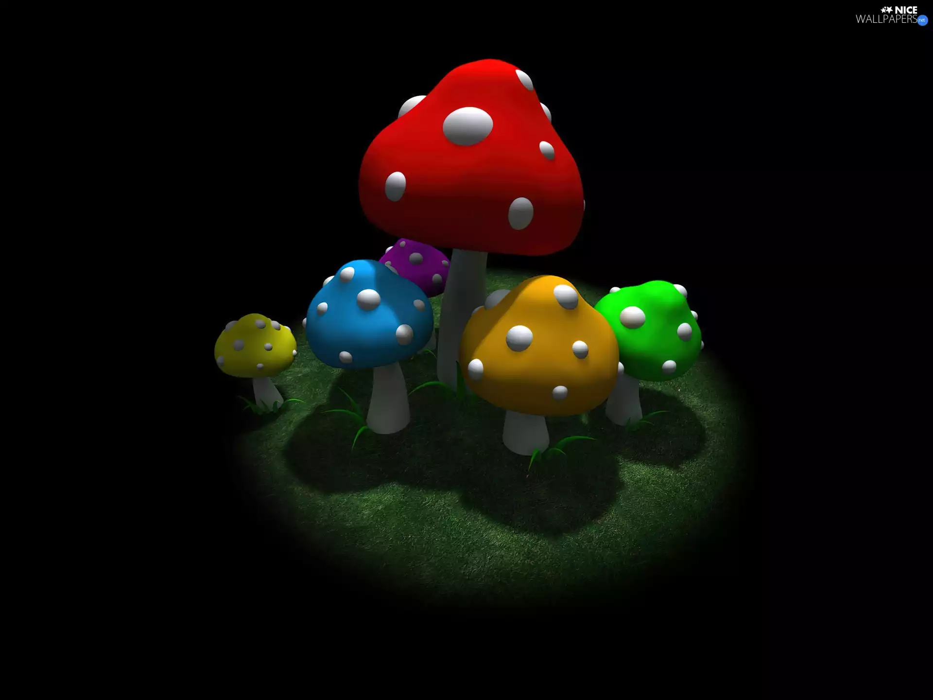 color, mushroom
