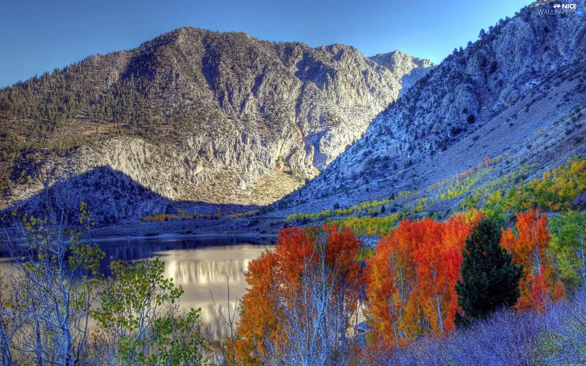 color, Mountains, viewes, White frost, trees, River