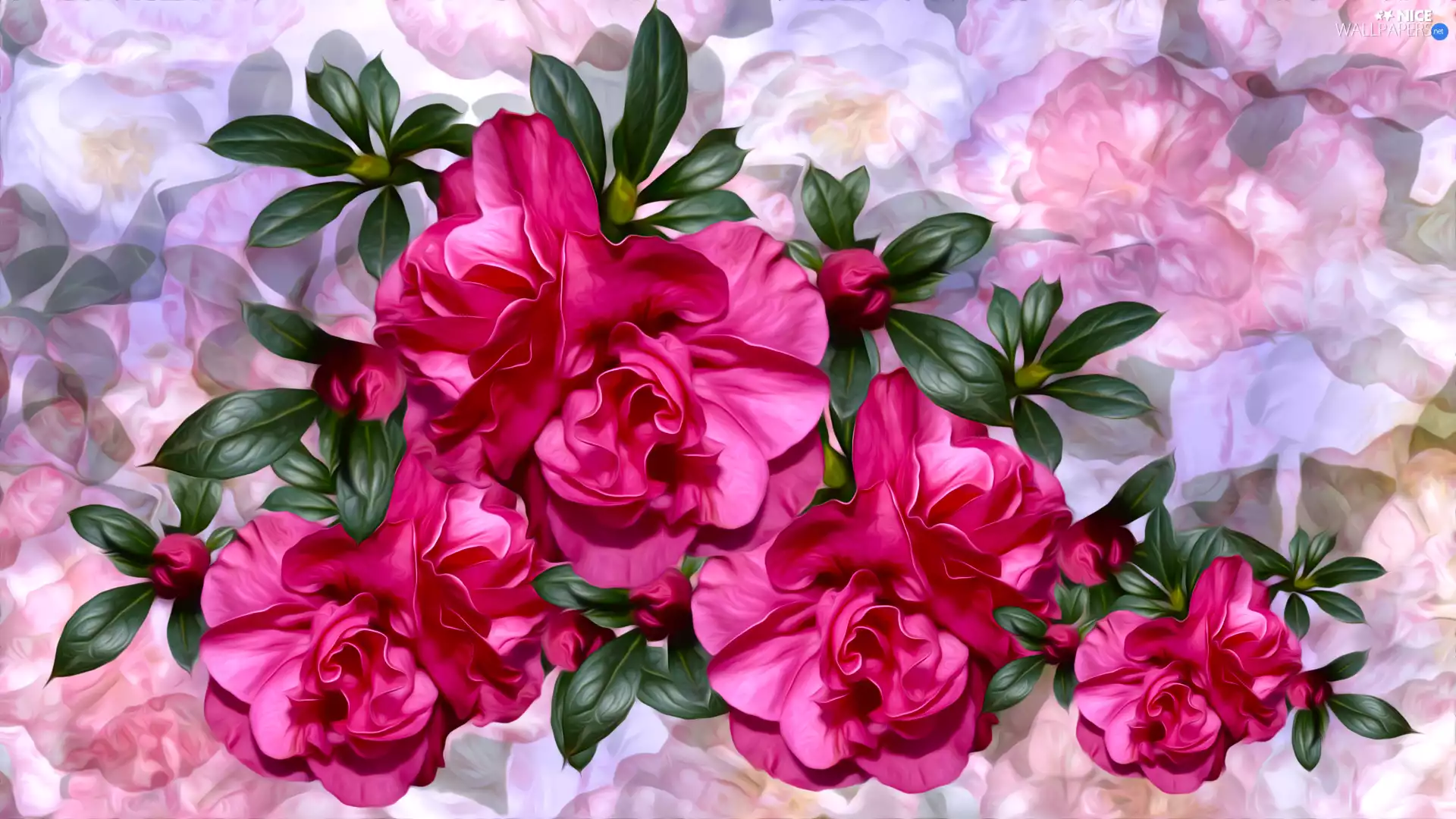 Flowers, Colorful Background, graphics, Camellias