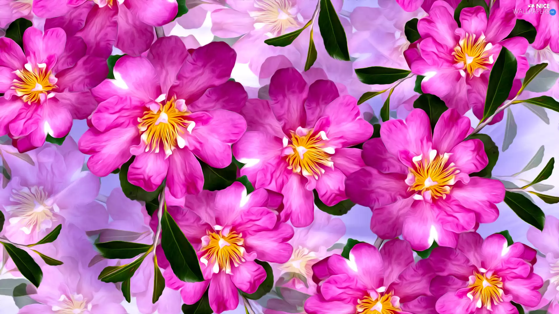 Pink, Colorful Background, graphics, Flowers