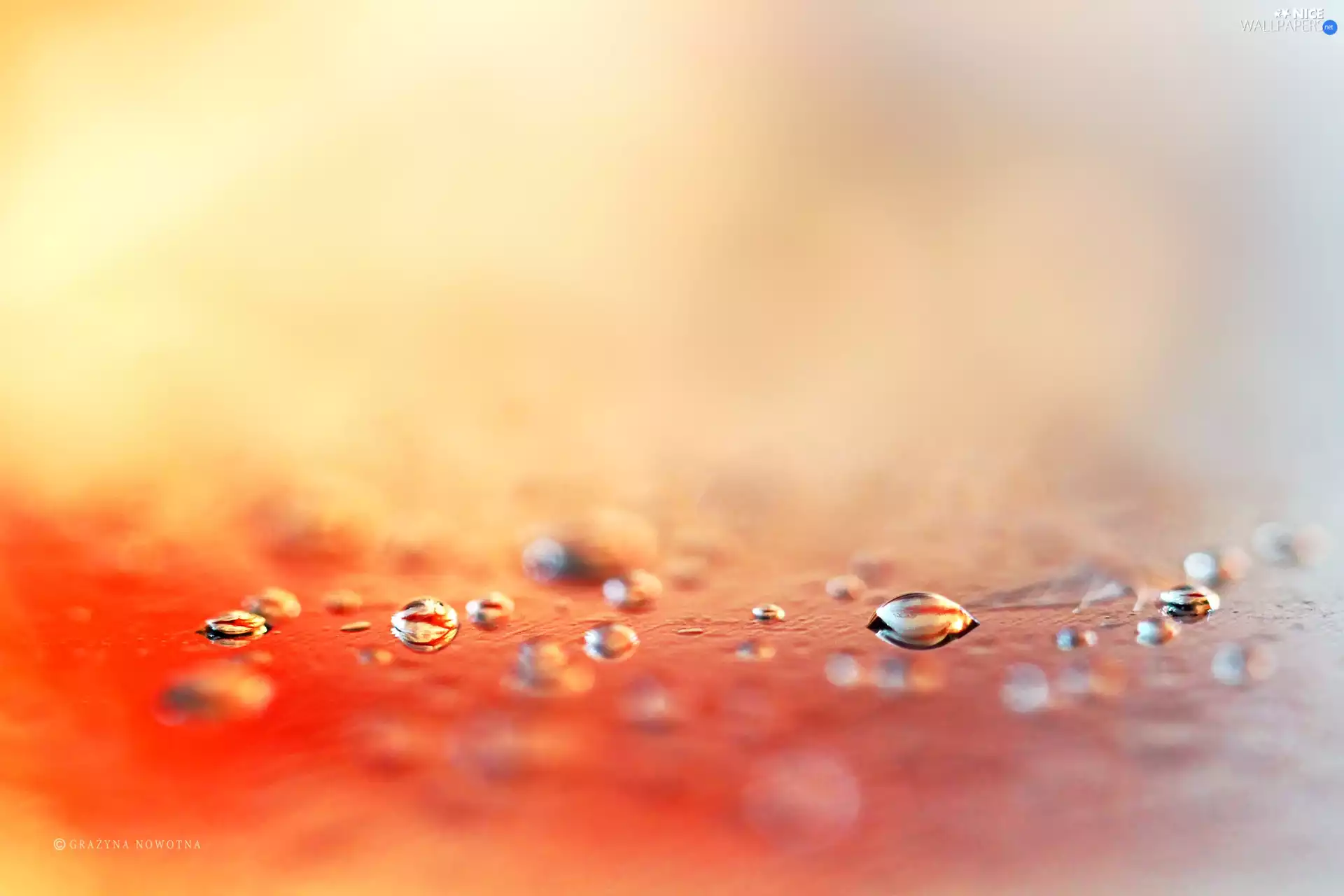colors, Close, drops