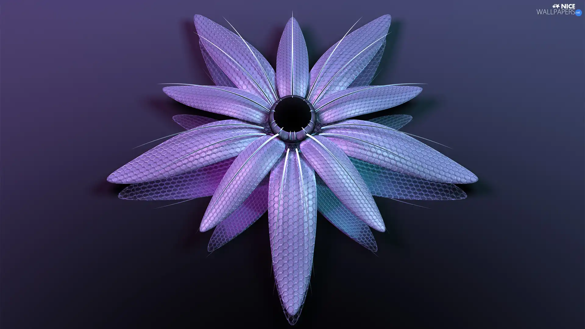 3D Graphics, Colourfull Flowers