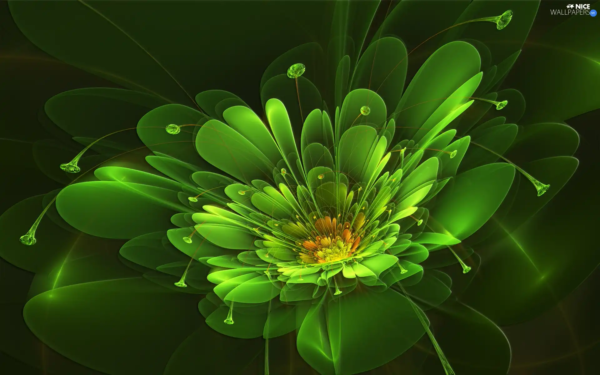 Green, 3D, Fraktal, Colourfull Flowers