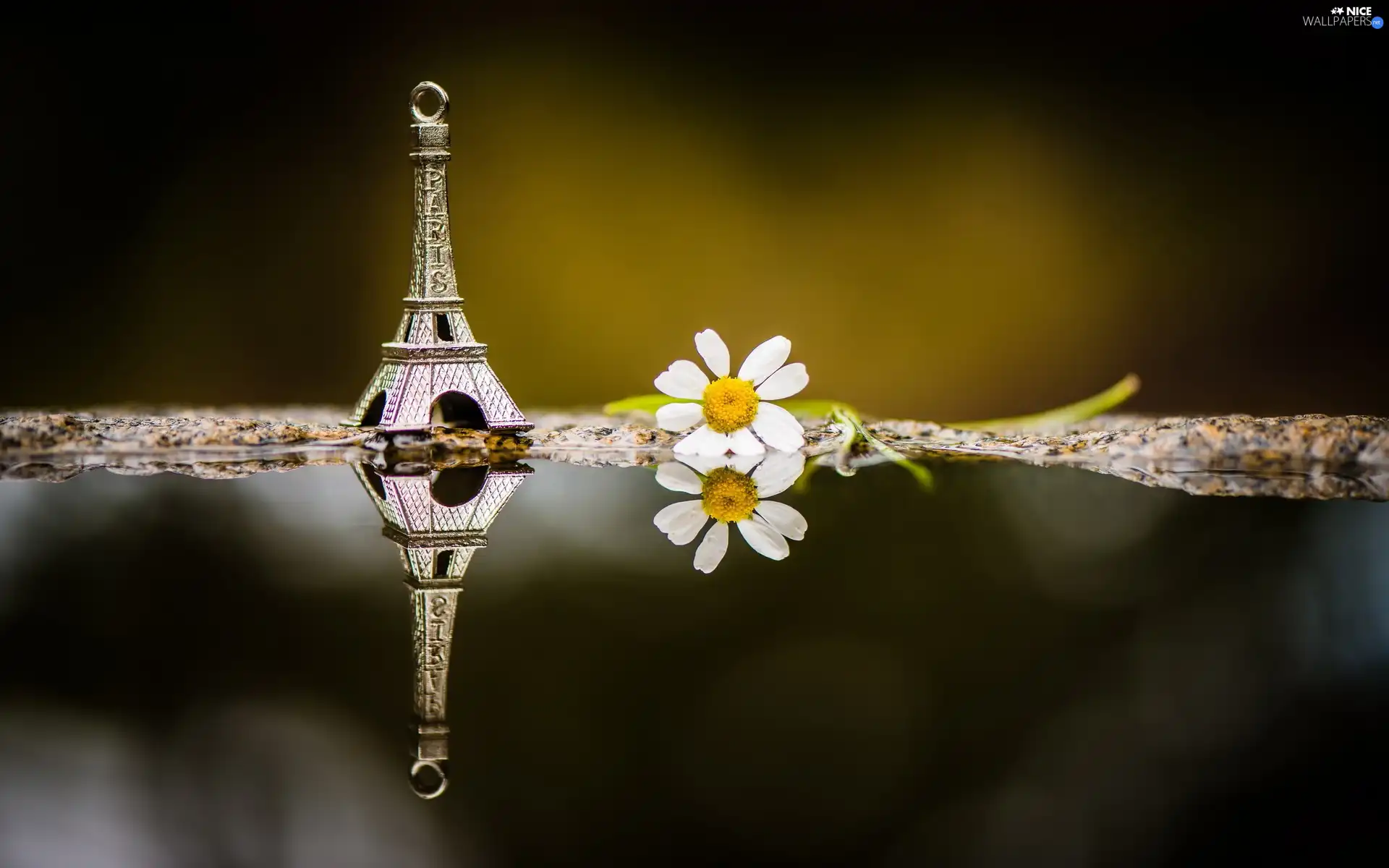 Colourfull Flowers, chamomile, tower, Eiffla, Pendant