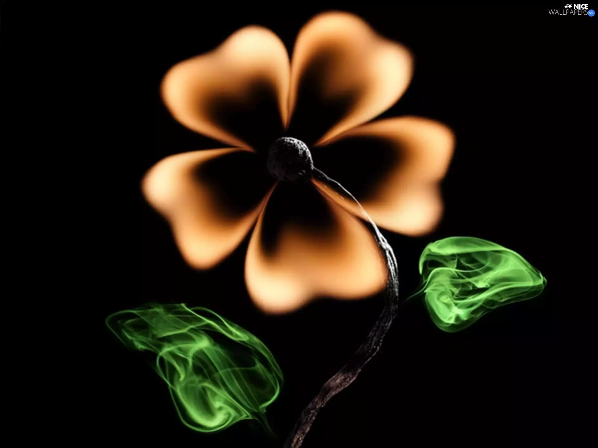 graphics, Colourfull Flowers, Big Fire