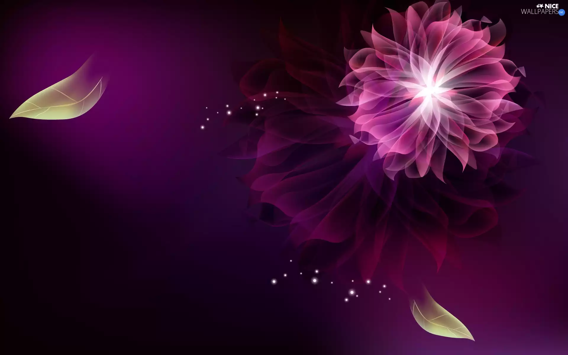 Colourfull Flowers, Fractalius