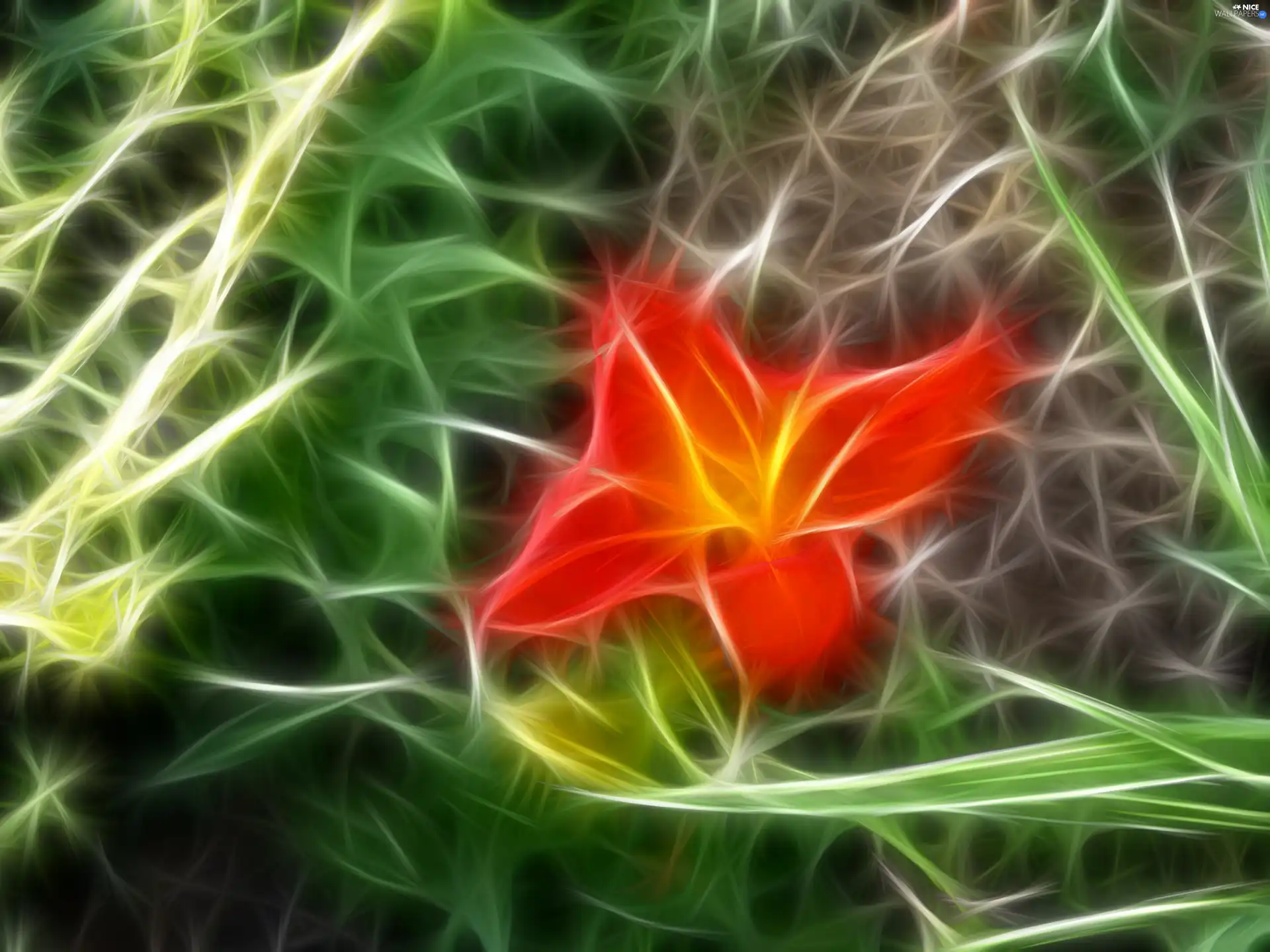 Fraktal, Red, Colourfull Flowers