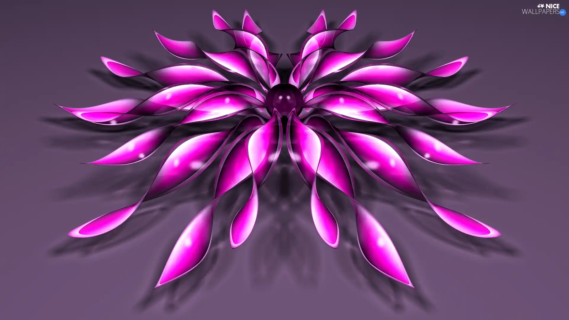 graphics, purple, Colourfull Flowers, 3D