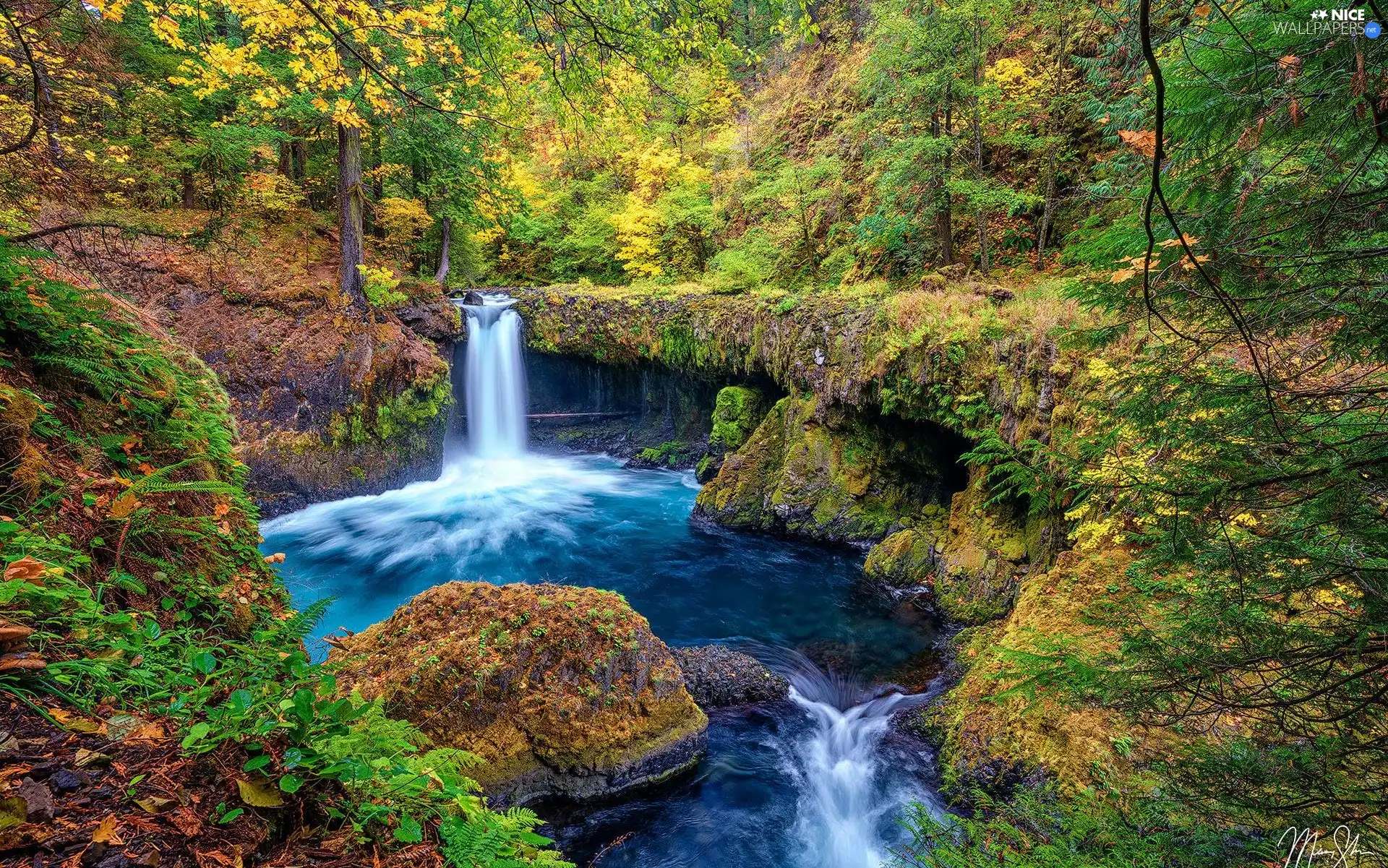 rocks, Nature Reserve, trees, Oregon, viewes, River, Columbia River Gorge, The United States, autumn, Bush