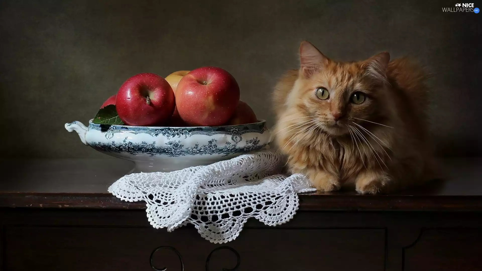 napkin, commode, cat, apples, ginger