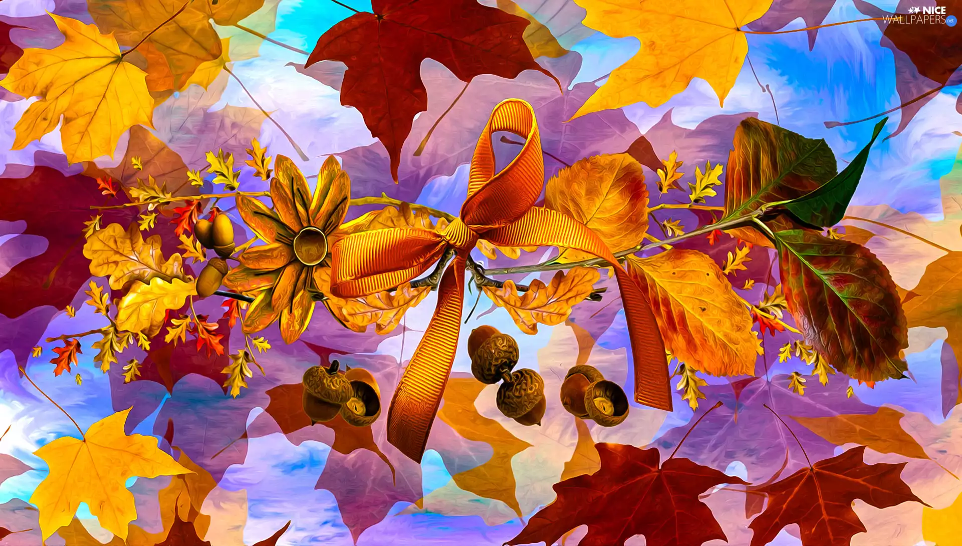 Flowers, Leaf, graphics, composition, bow, Acorns