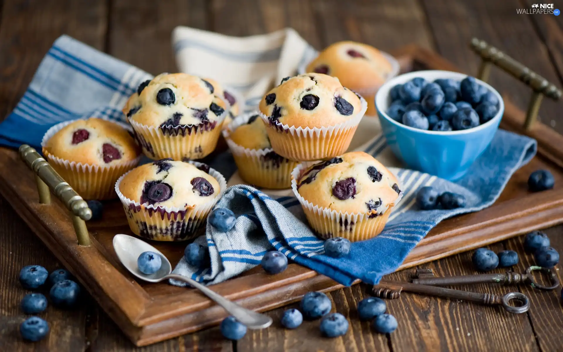 composition, Muffins, blueberries