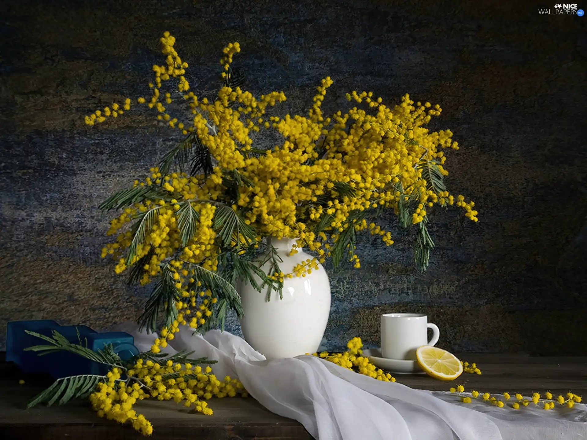 composition, mimosa, bouquet