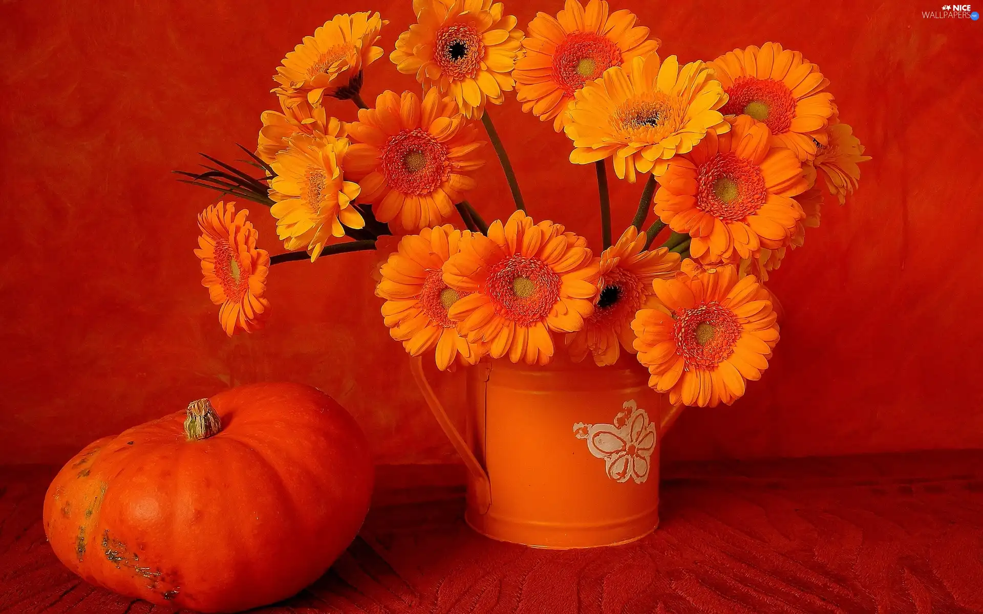 bouquet, pumpkin, composition, Gerbers