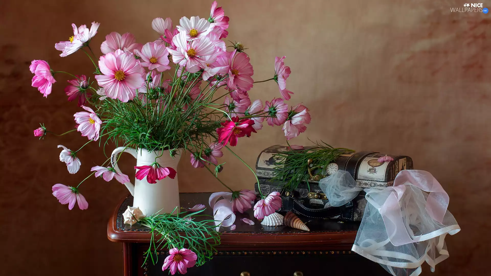Cosmos, jug, Shells, composition, casket, bouquet
